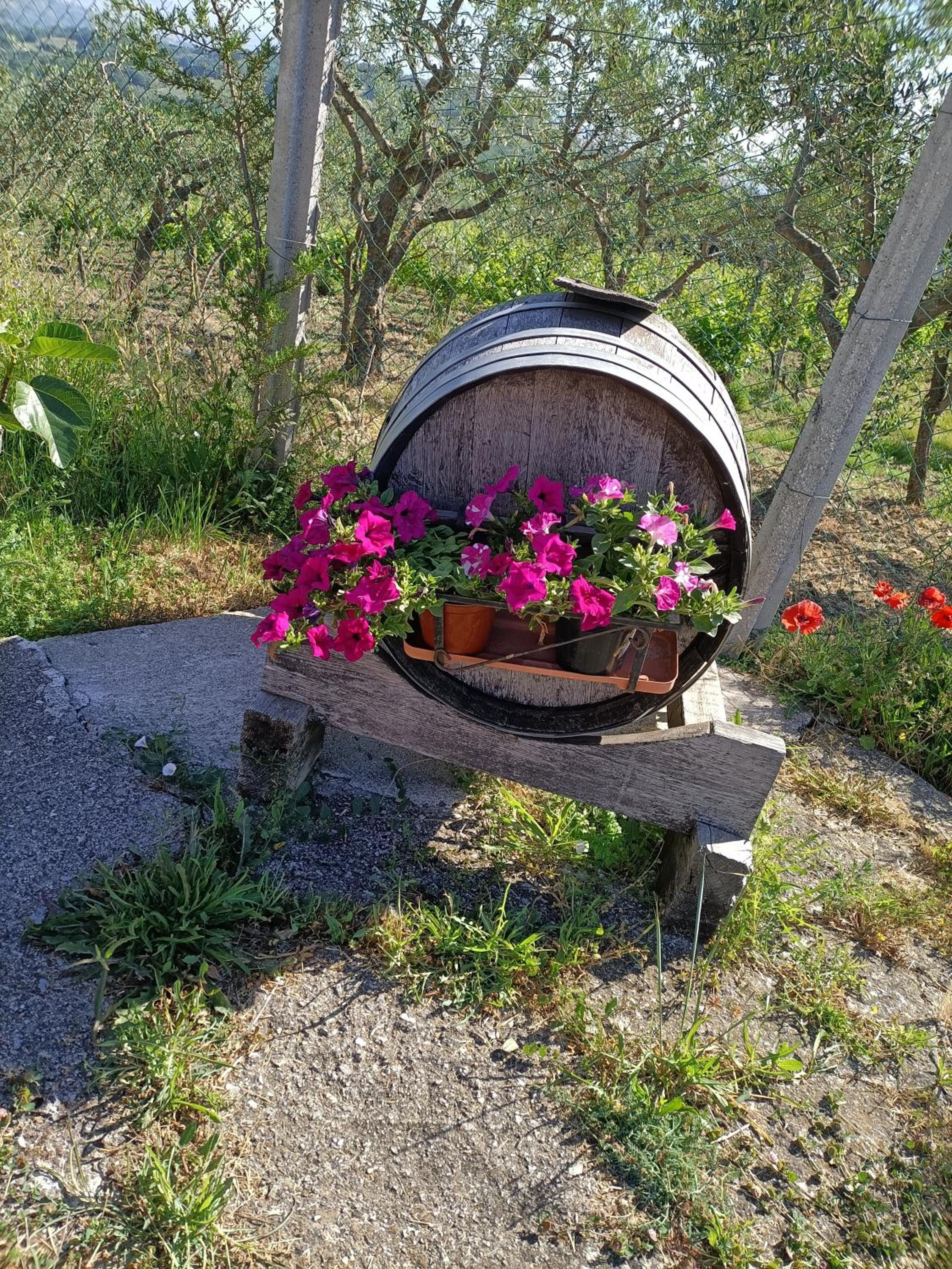 Agriturismo Macchia dei briganti - b&b, Foto 7