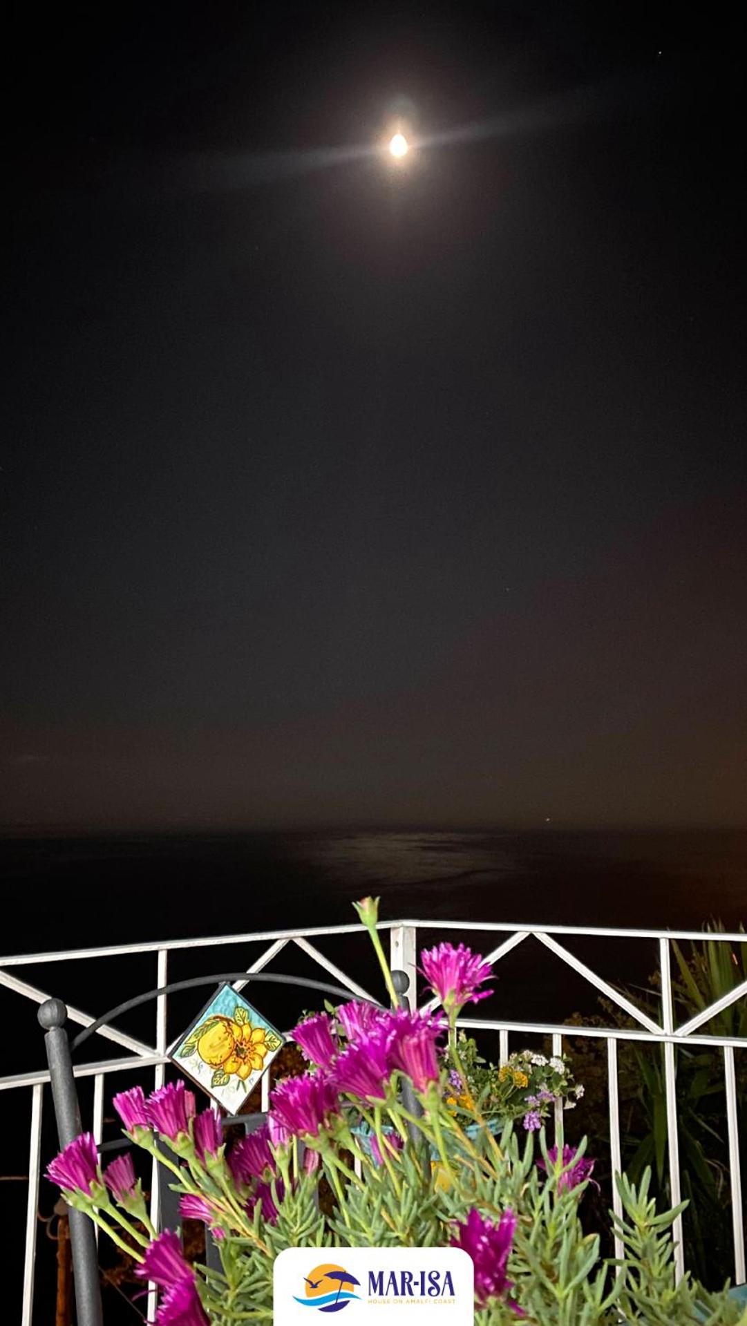 Photo 67