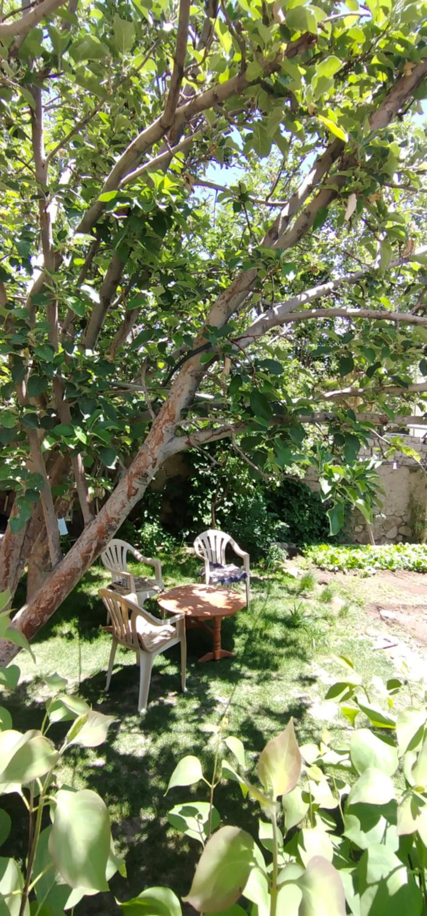Photo 26