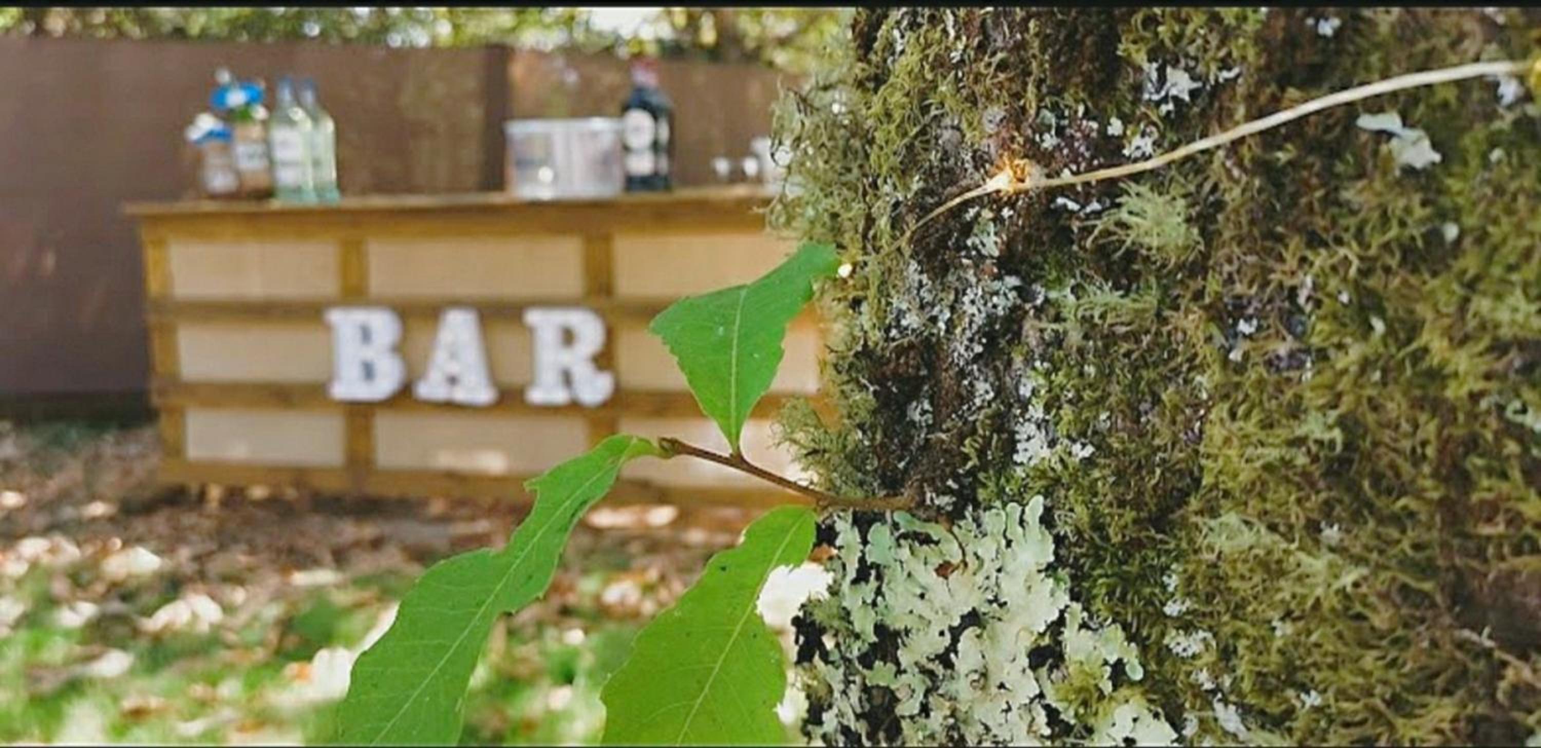Finca Segade