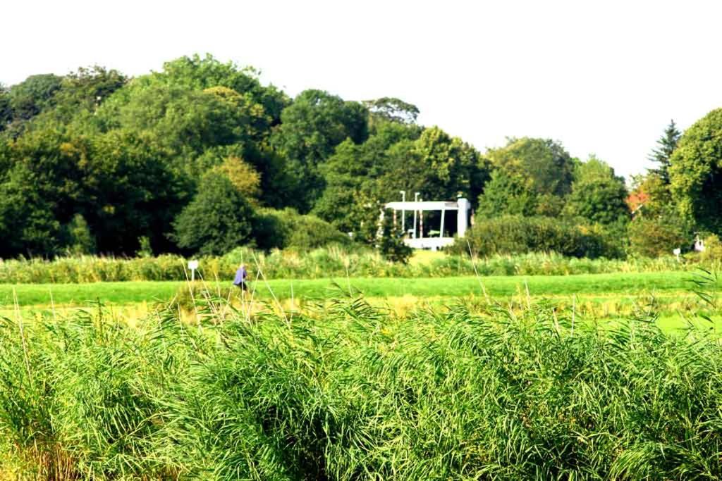 Ferienhaus Lüttje Swaan view 2