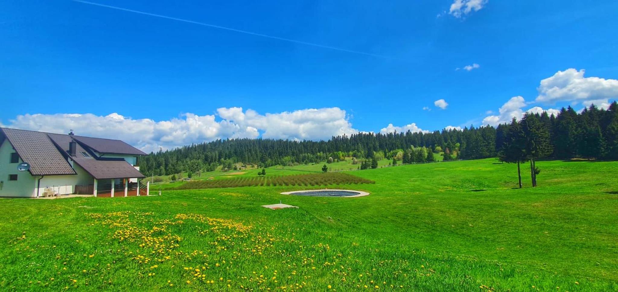 Apartmani Nišićka Oaza