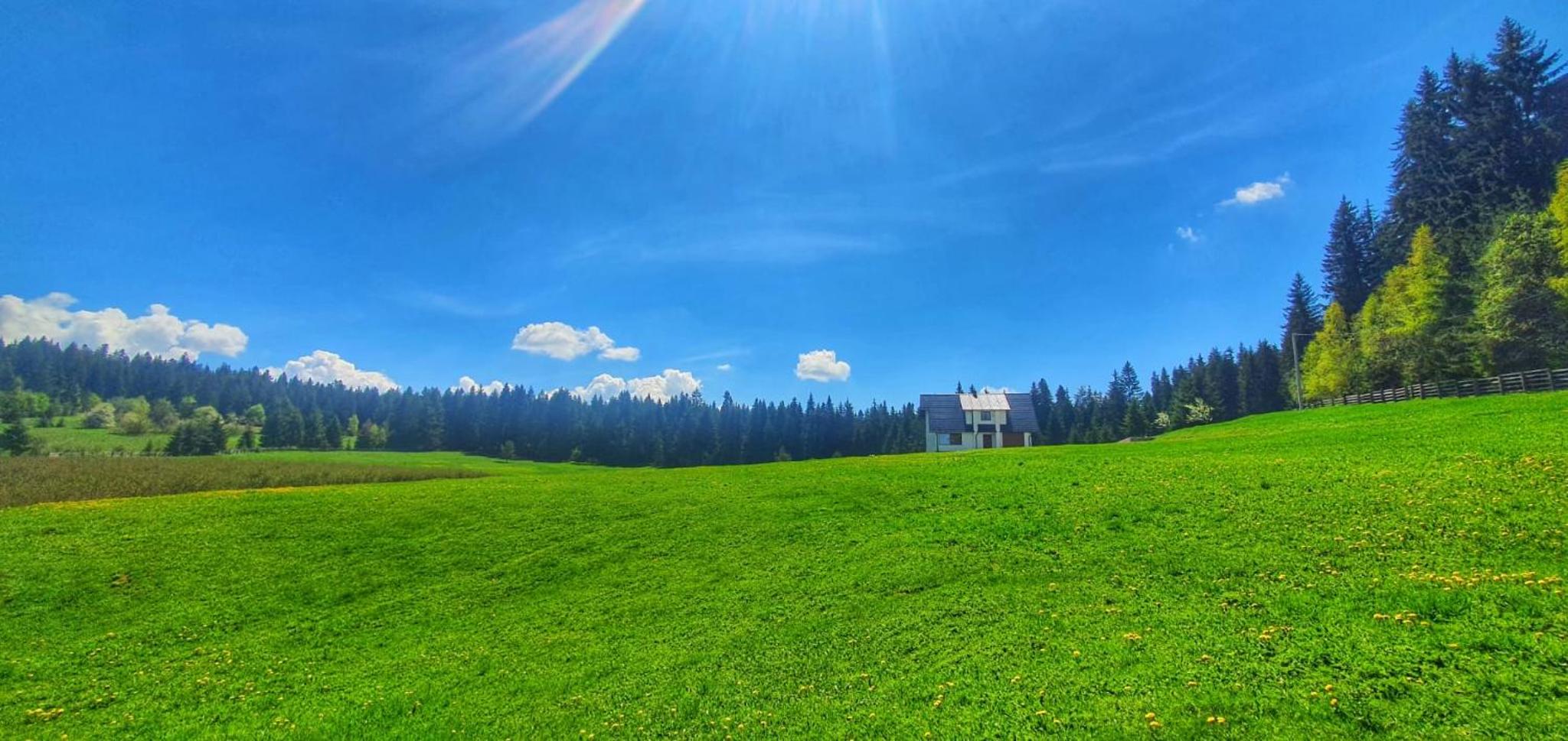 Apartmani Nišićka Oaza