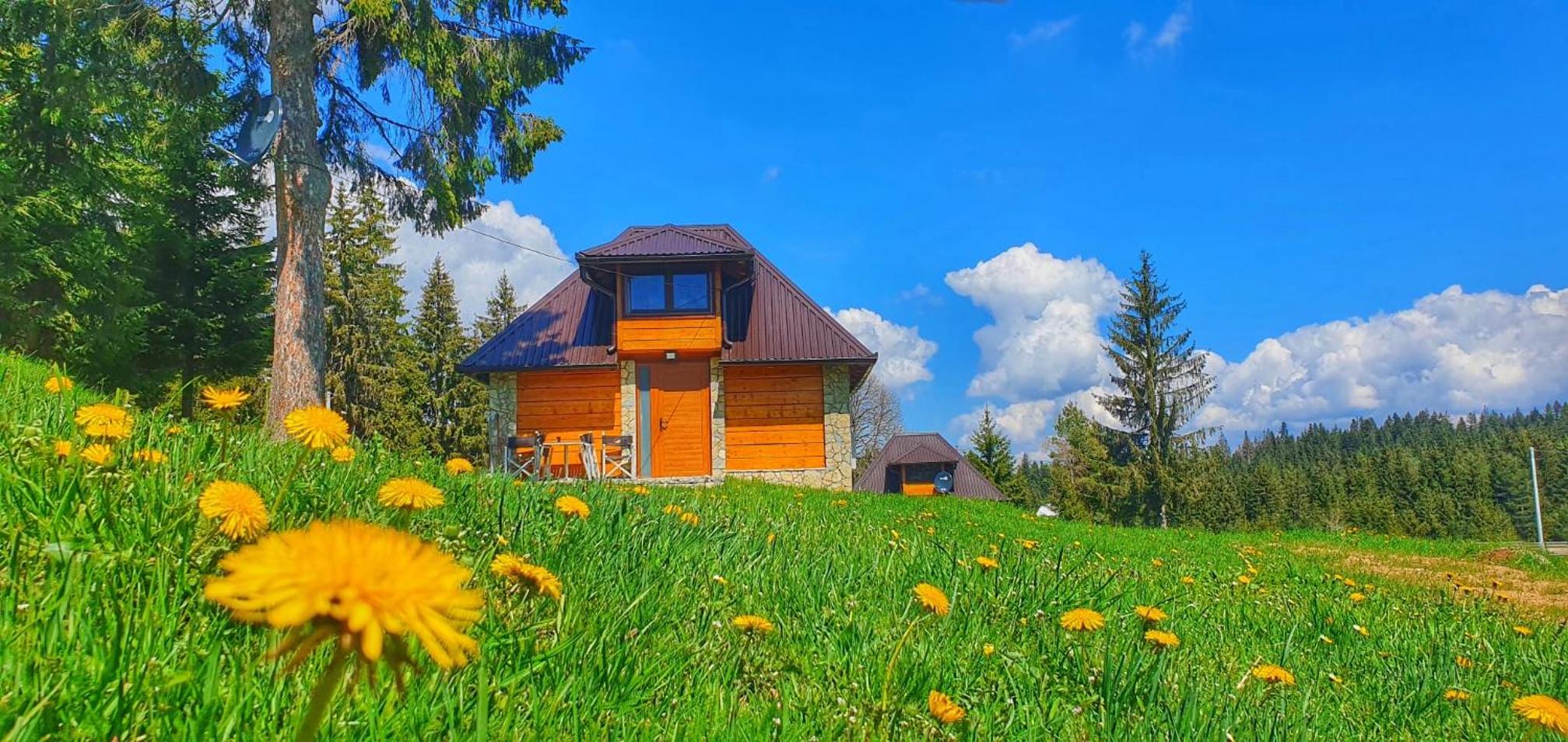 Apartmani Nišićka Oaza