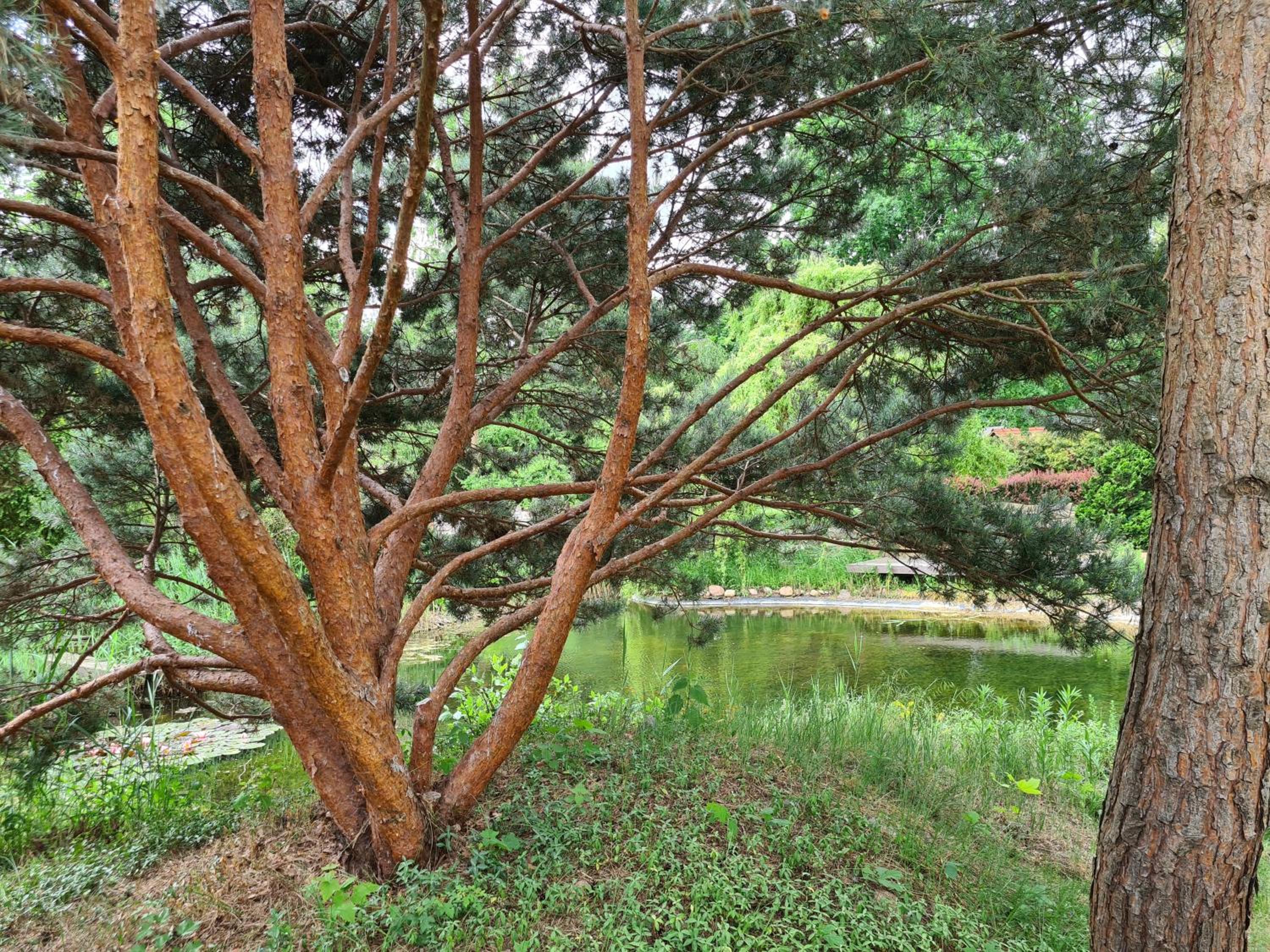 Photo 46