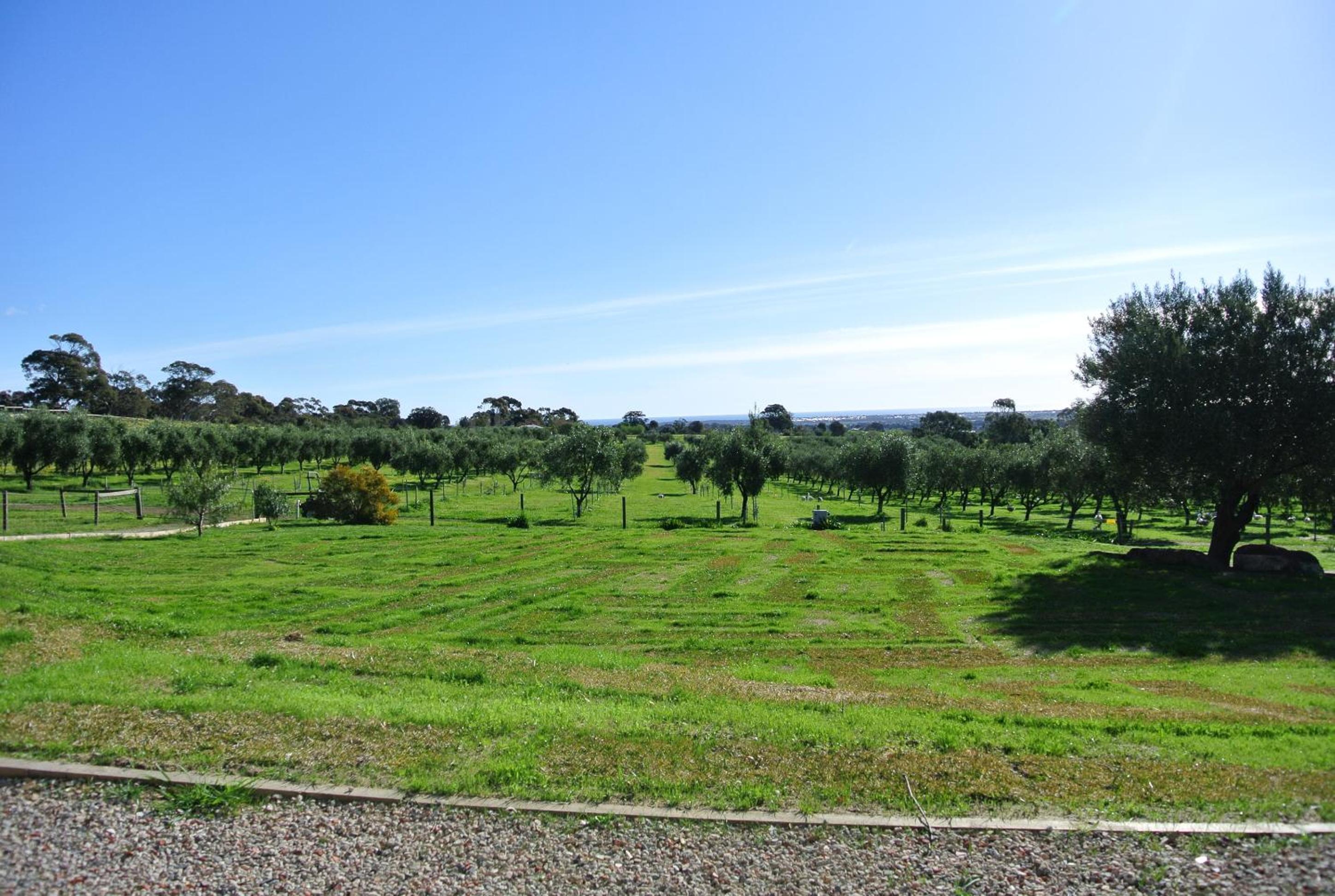 The Farm Willunga
