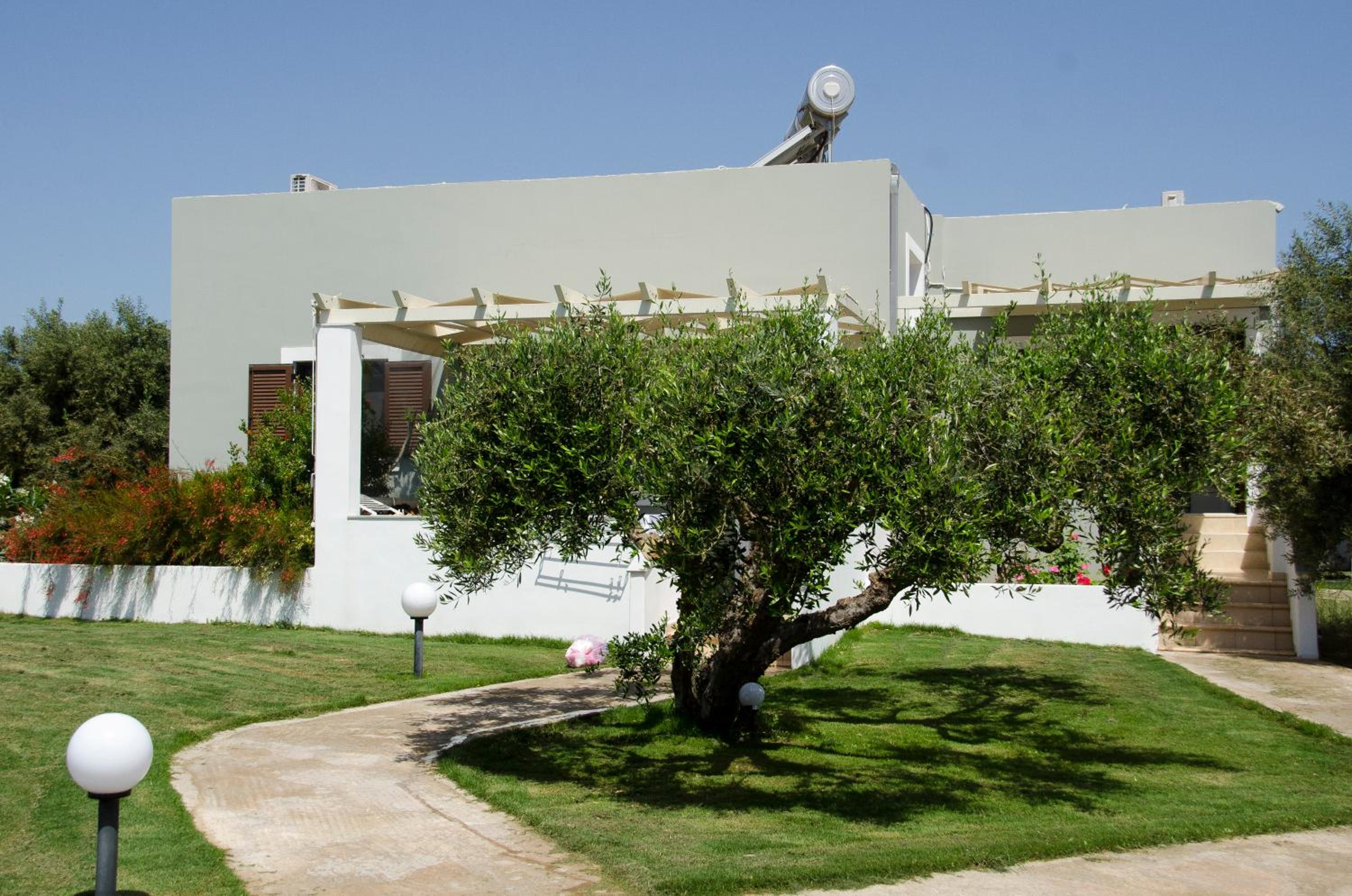 Photo 18