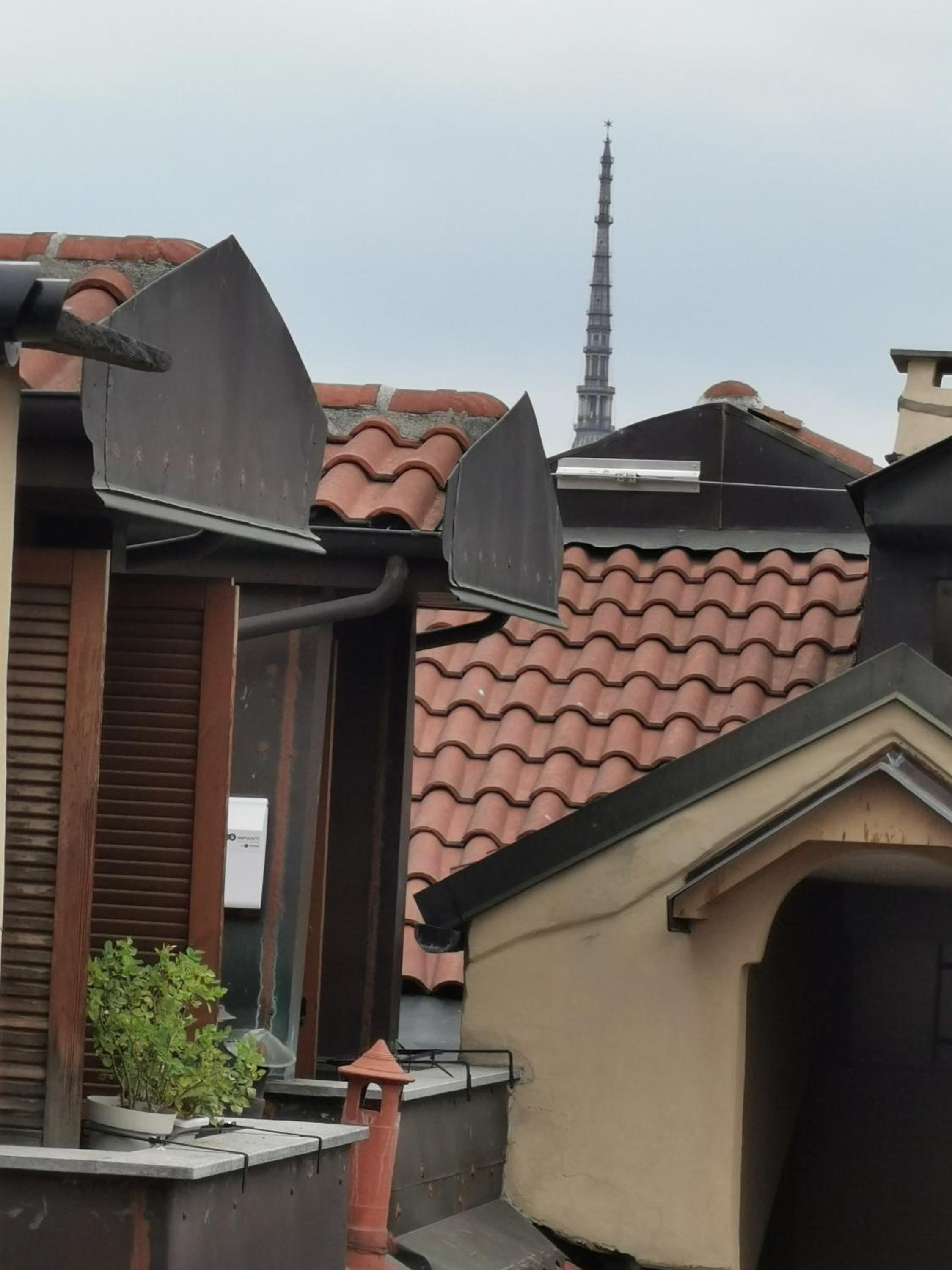 roof