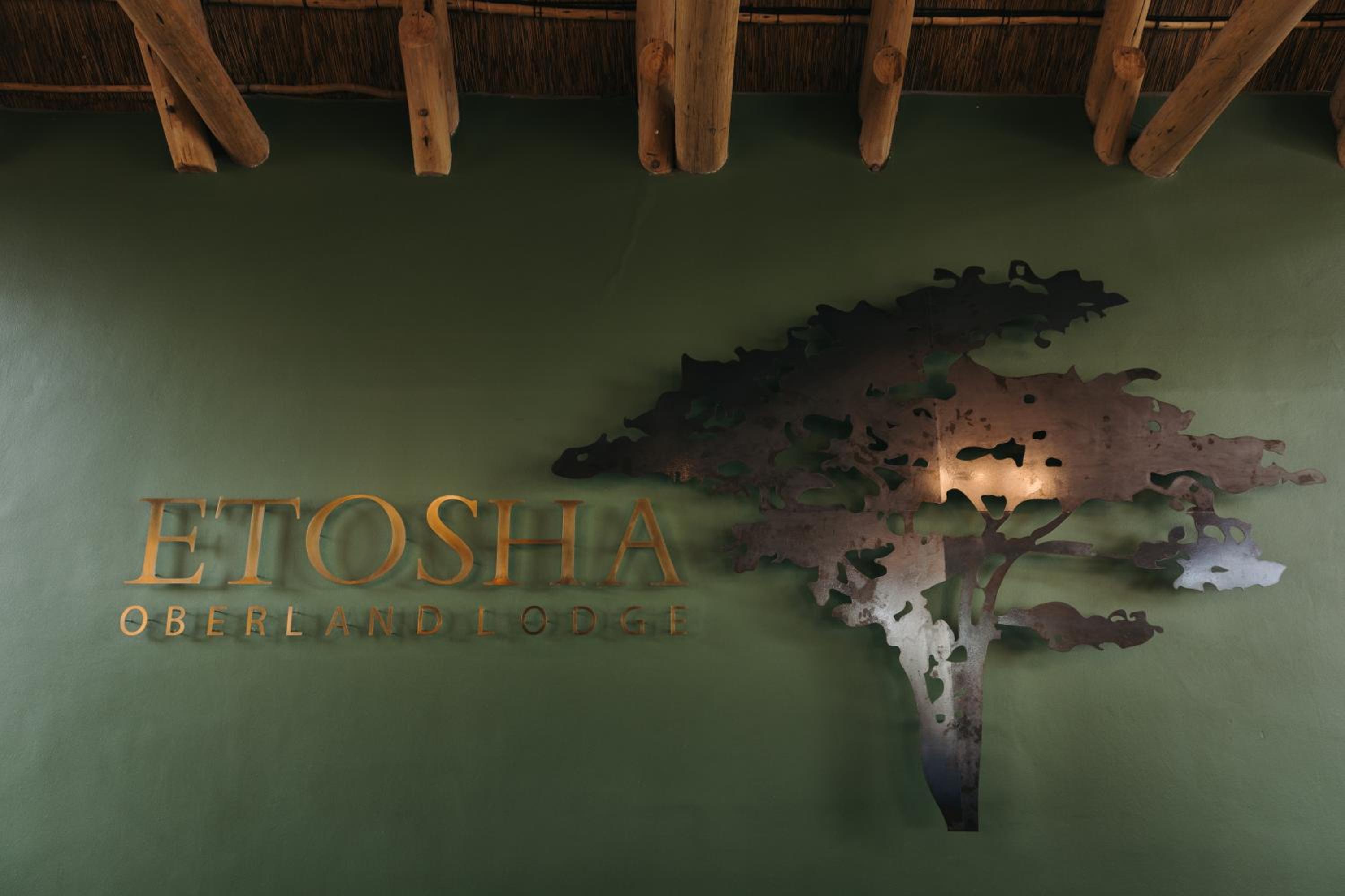 Etosha Oberland Lodge