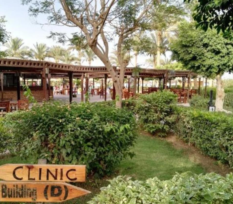 Private chalte Palmera sokhna family
