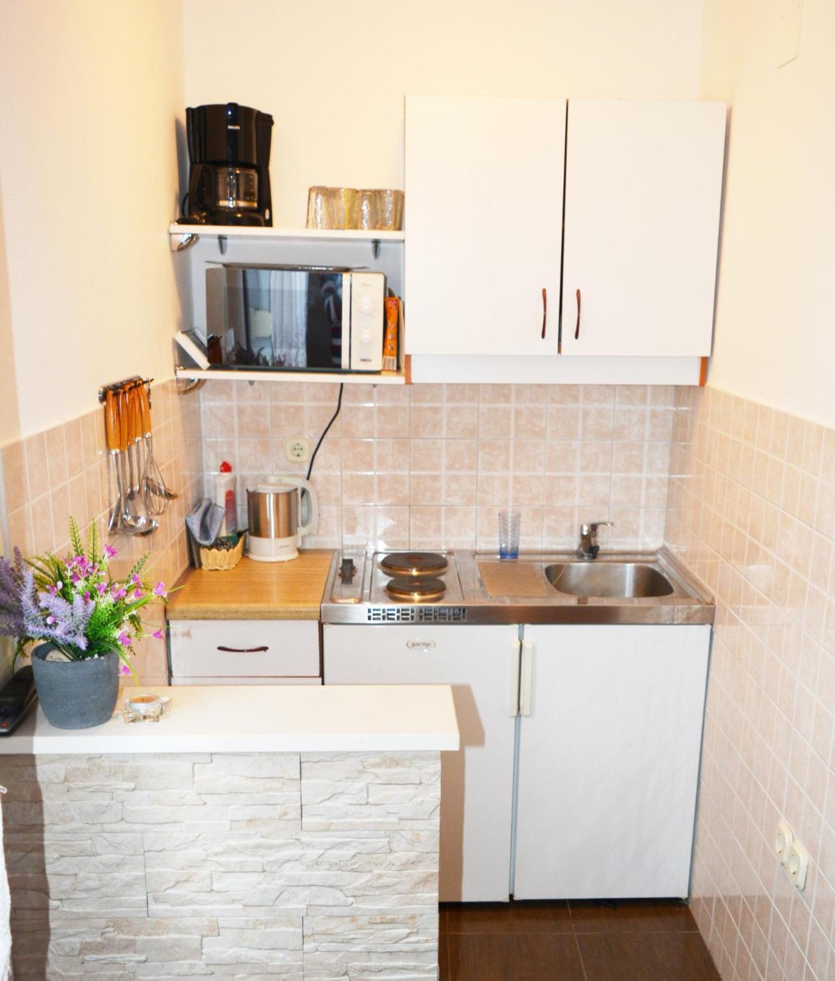 ĆOSIĆ APARTMANI IGRANE view 4