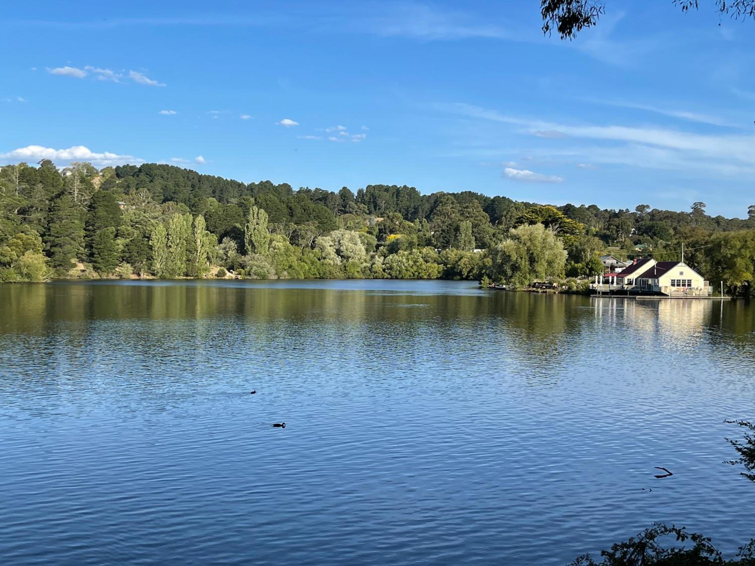 Damais - 4 king or 8 single beds WiFi, Netflix, Alexa, pet friendly