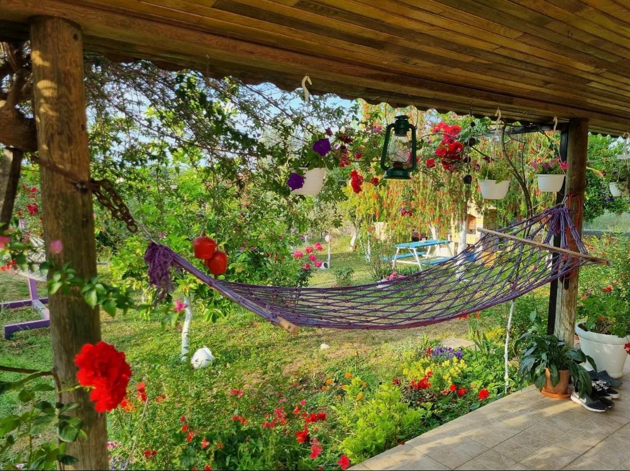 Masal Evimiz - Image 81