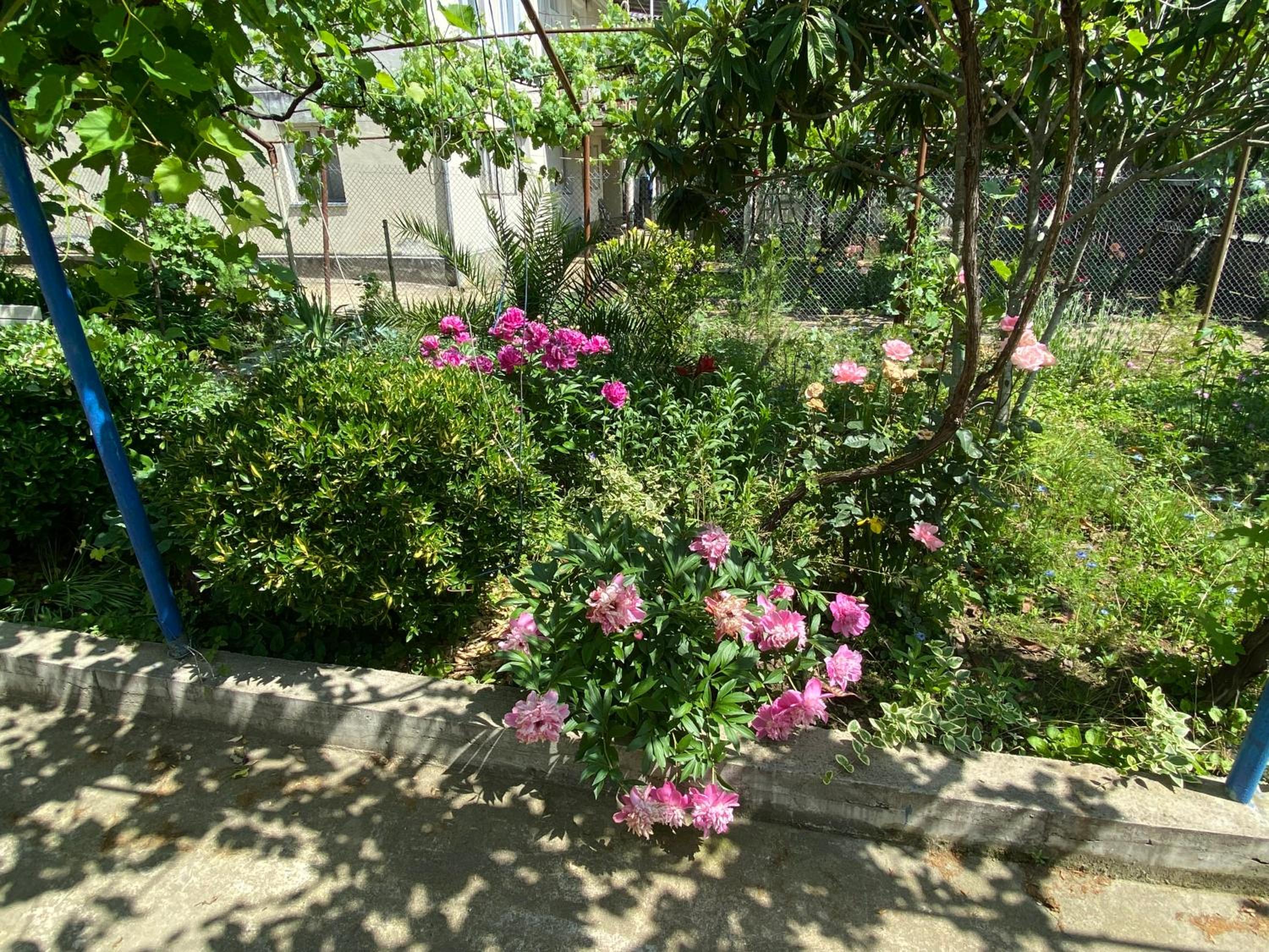 Photo 25