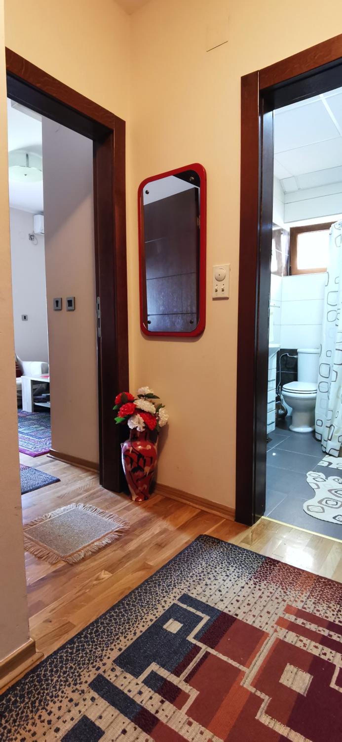 Apartman NADA view 5