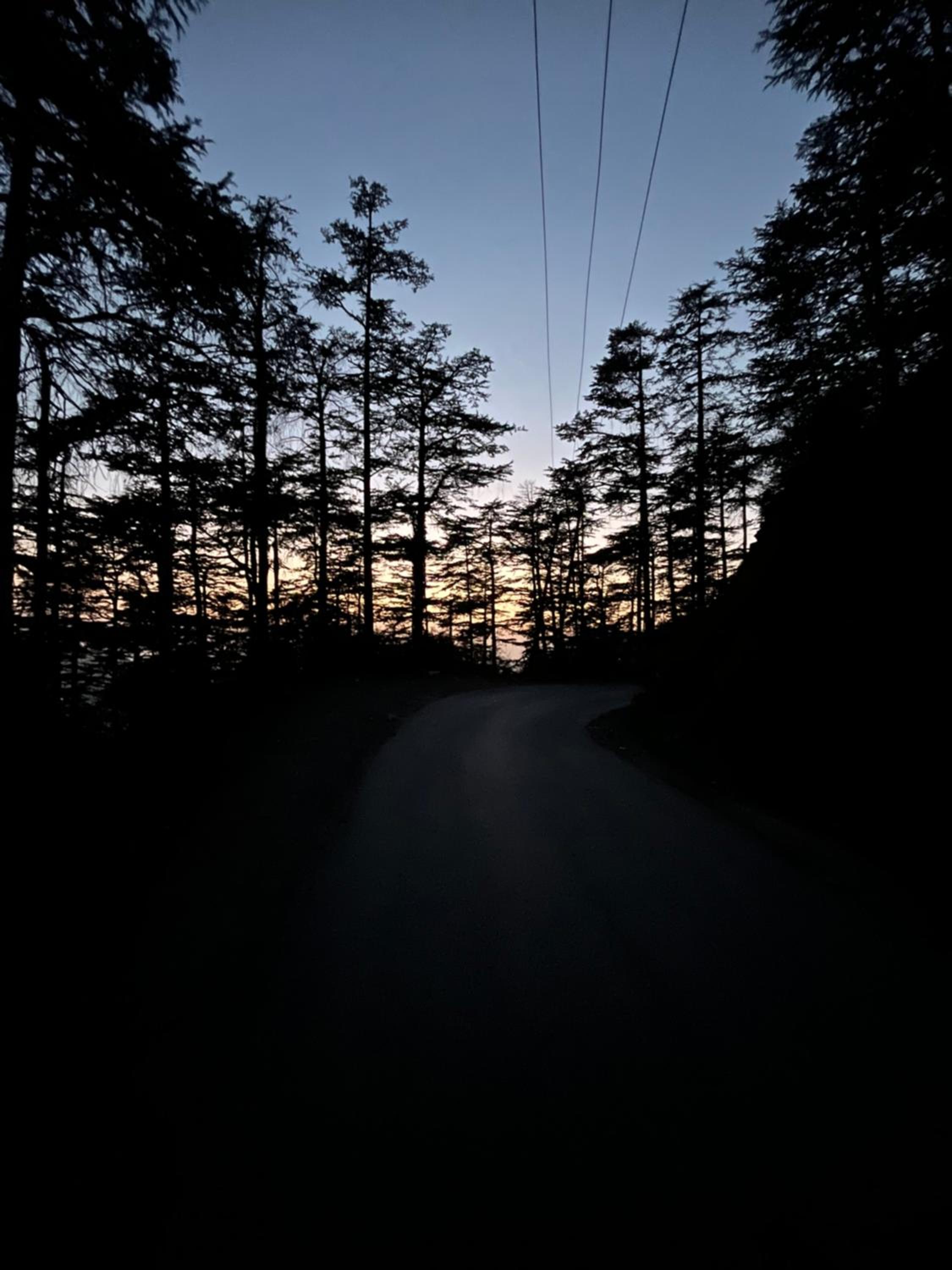Photo 45