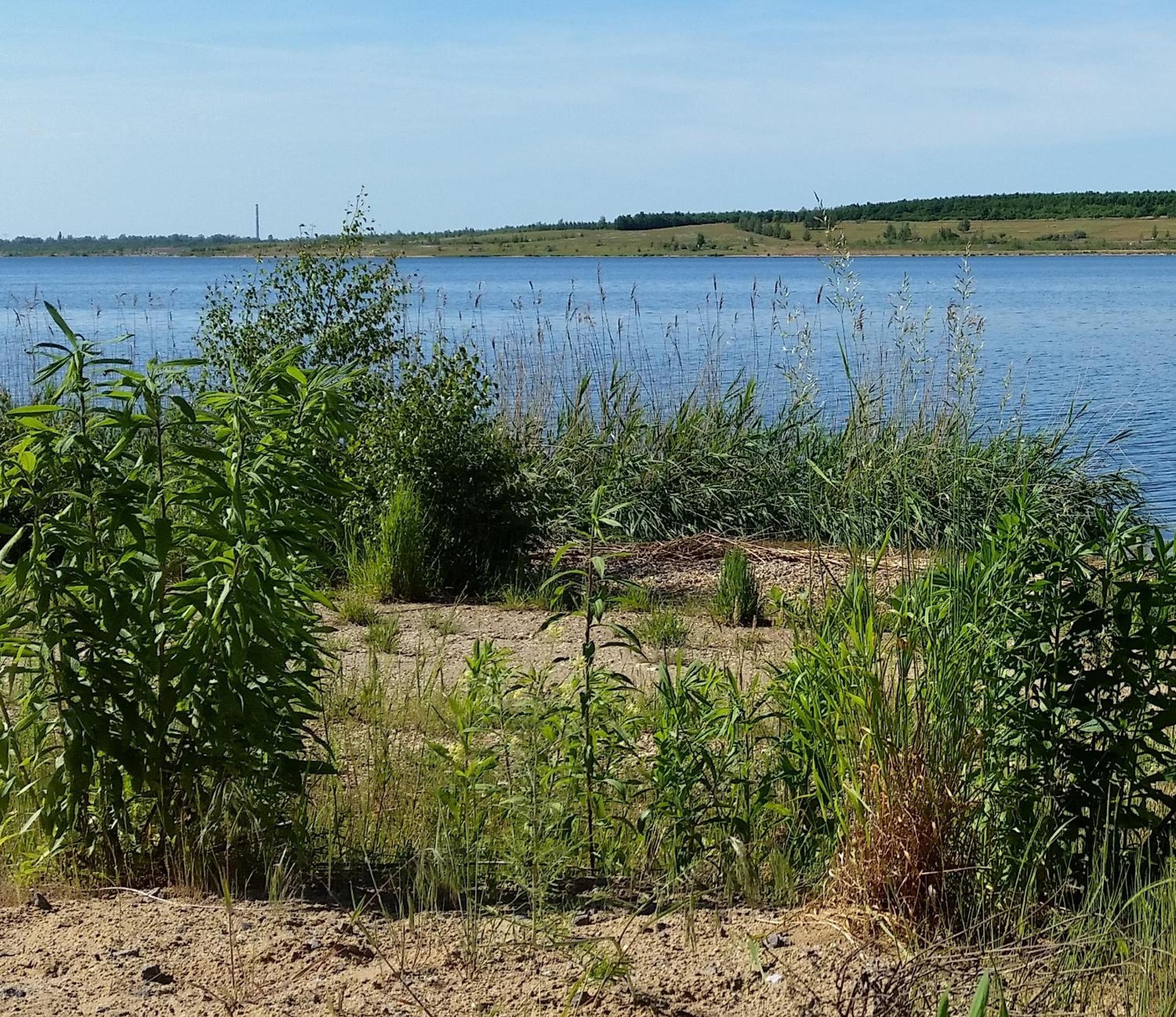 Photo 46