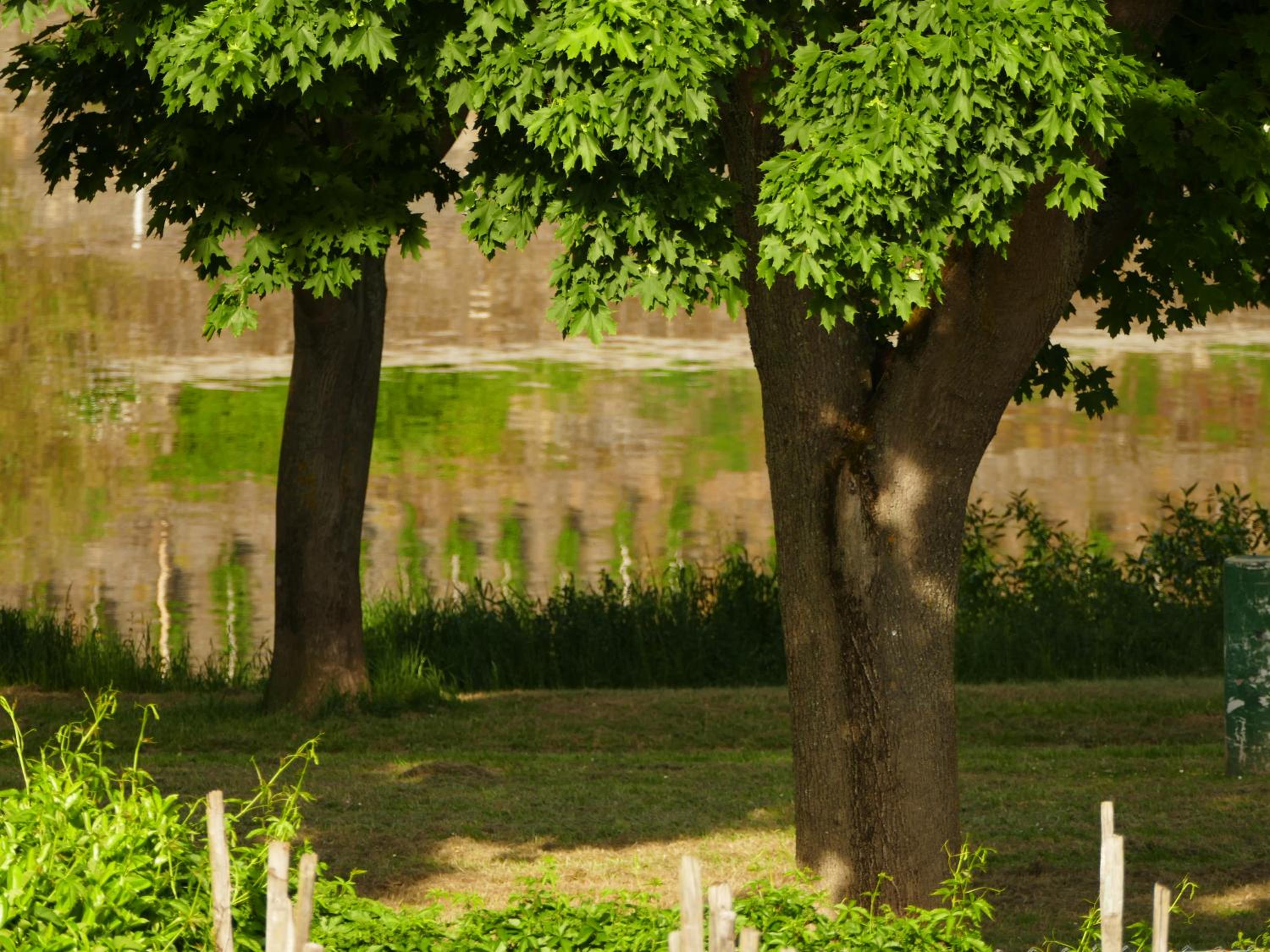 Photo 40