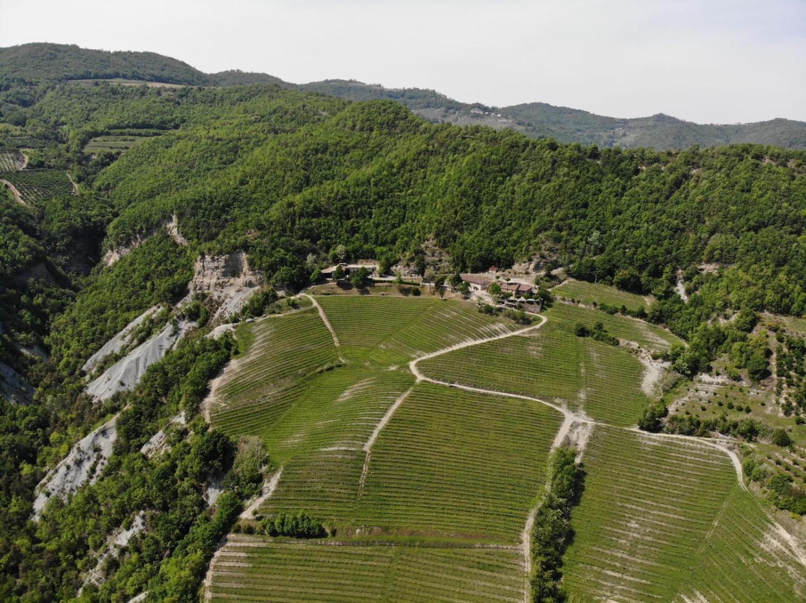 Cascina Bertolotto Wine Resort