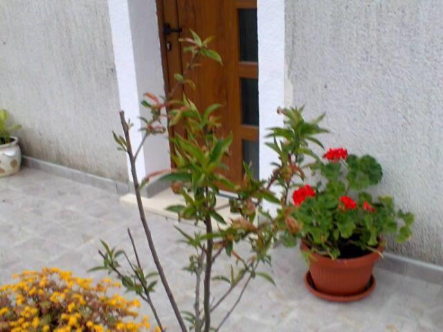 Guesthouse Adriana Cottages