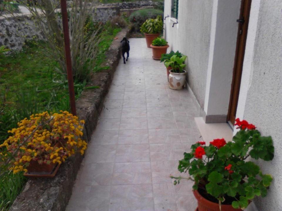 Guesthouse Adriana Cottages