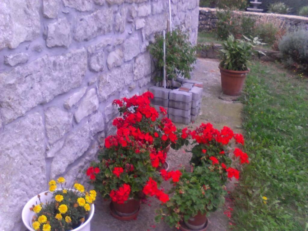 Guesthouse Adriana Cottages