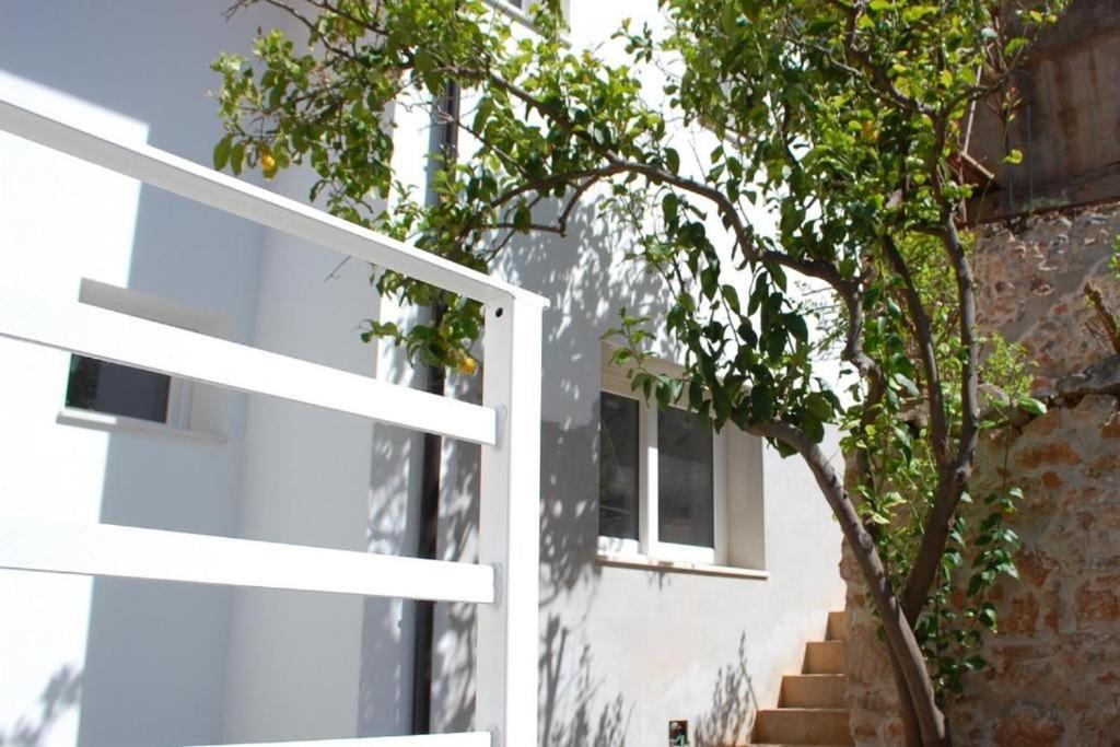 Casa Leone