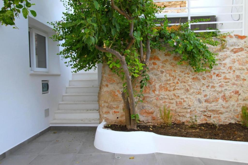 Casa Leone