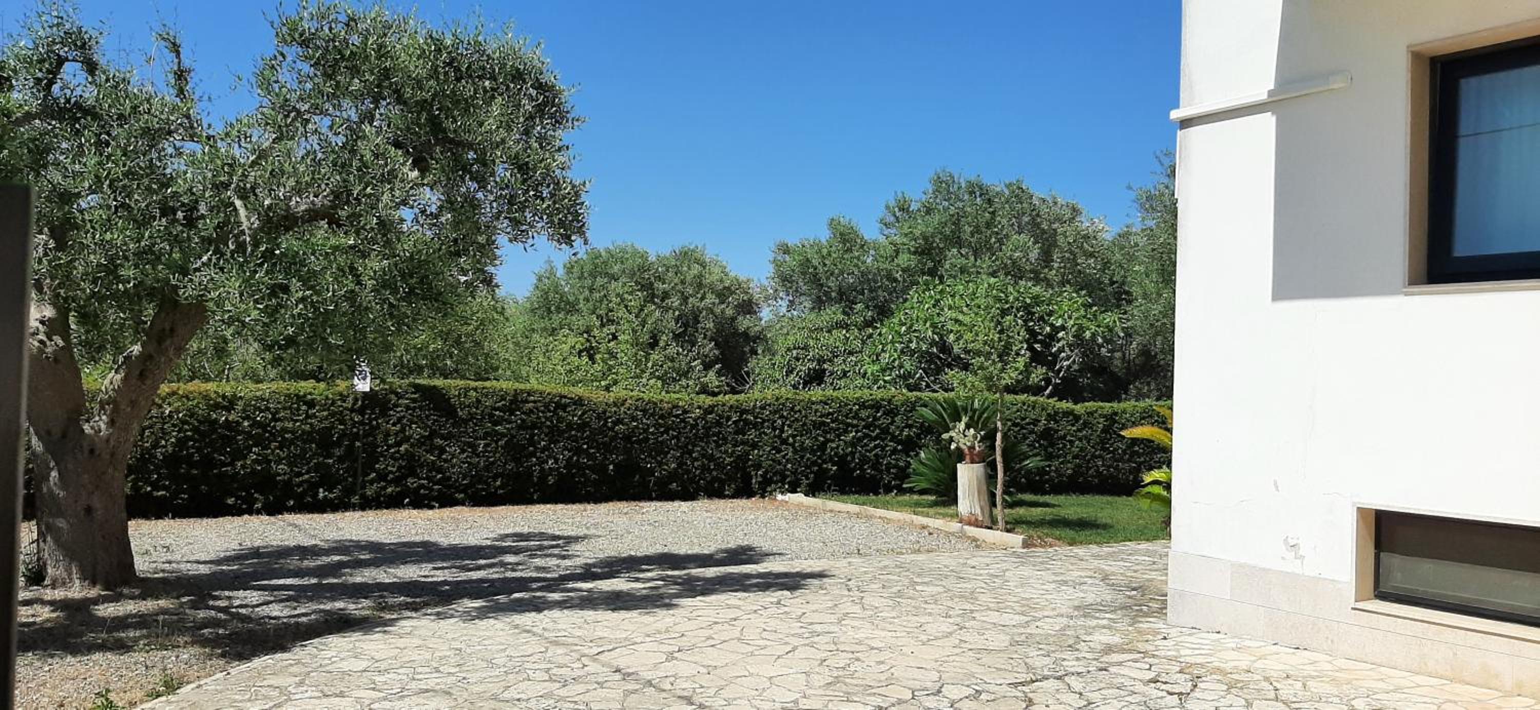 Villa Dragonfly by BarbarHouse