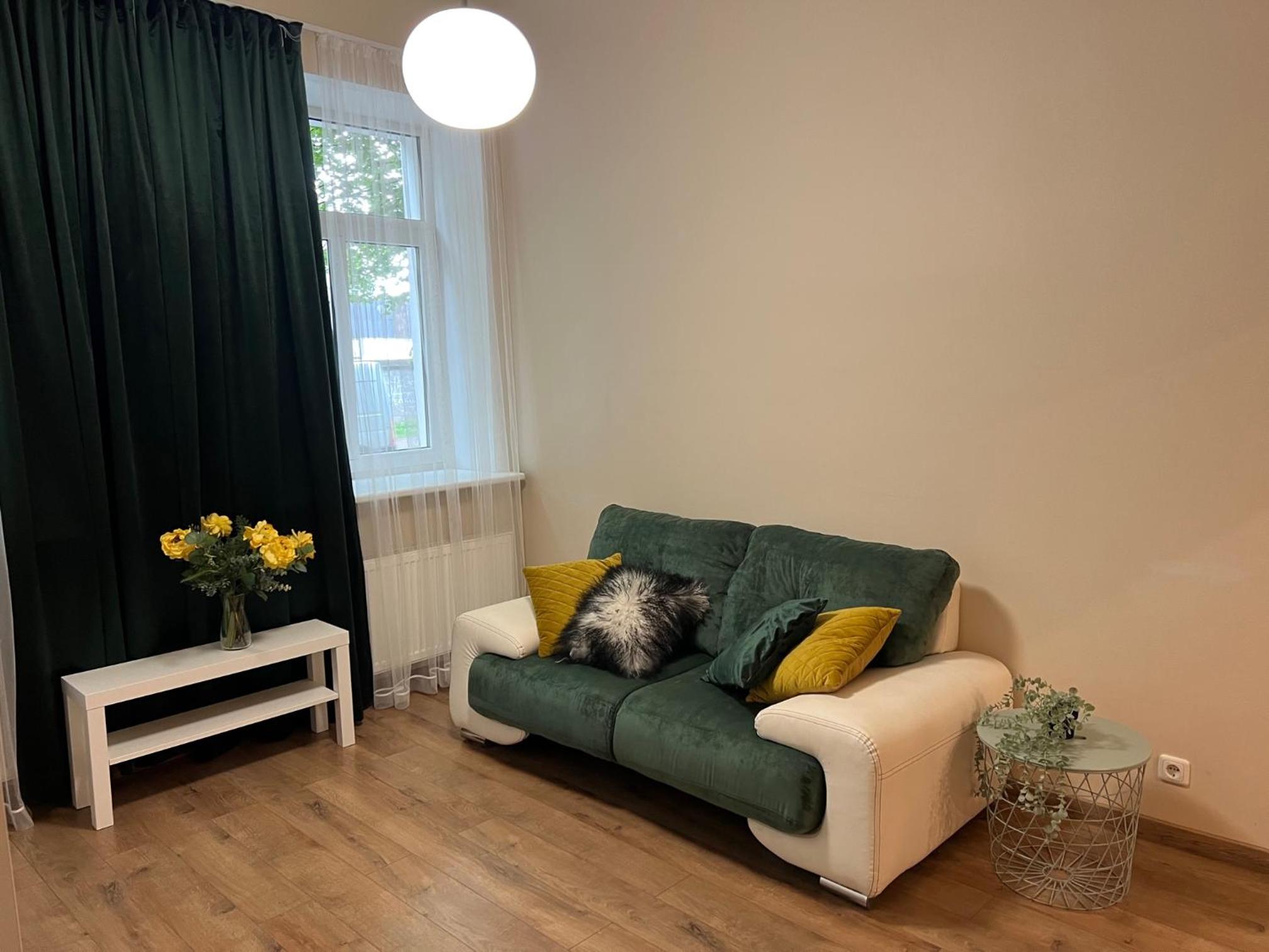 Gertrudes apartament view 5