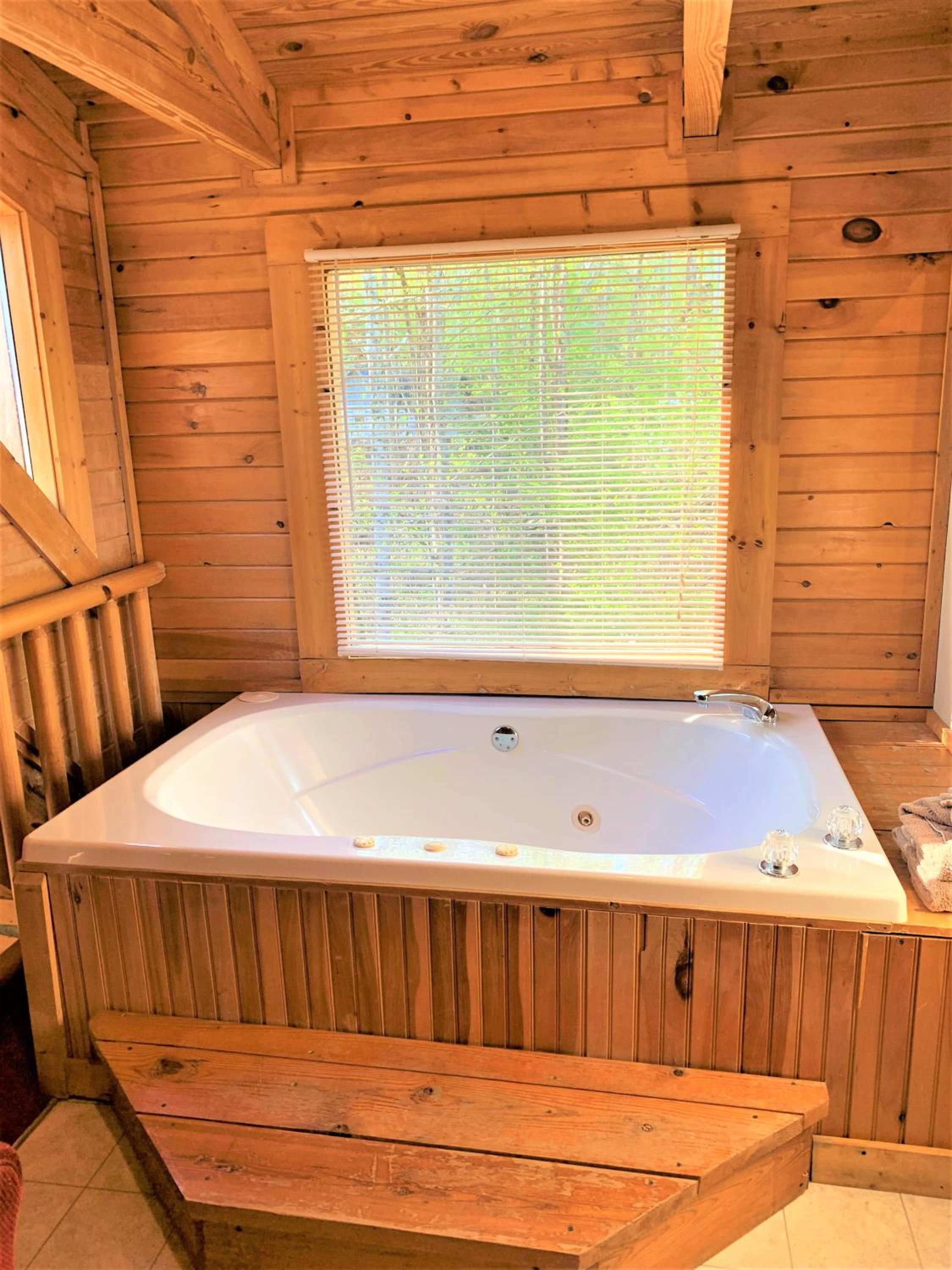 Free Tickets! Windy Ridge-Pet-Friendly wfee Cabin with Fishing Access & Fenced In Yard view 2