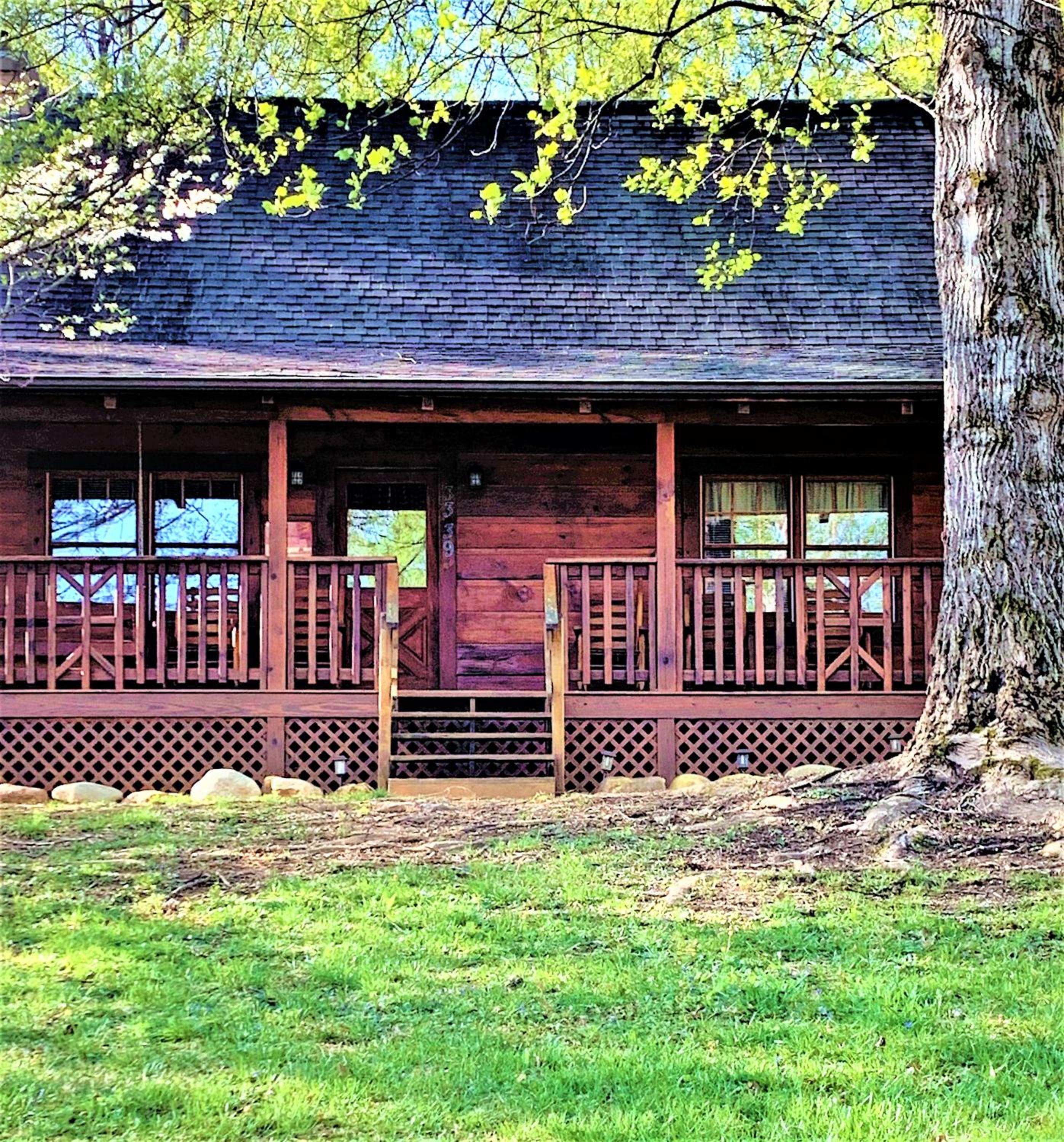 Photo 13