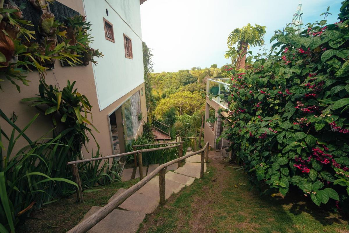 Orquídea Café