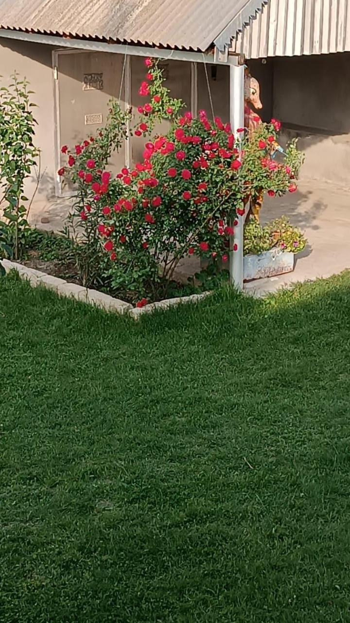 Ismayilli Guest House