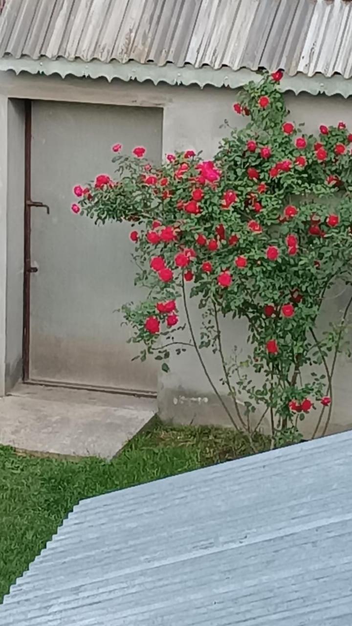 Ismayilli Guest House