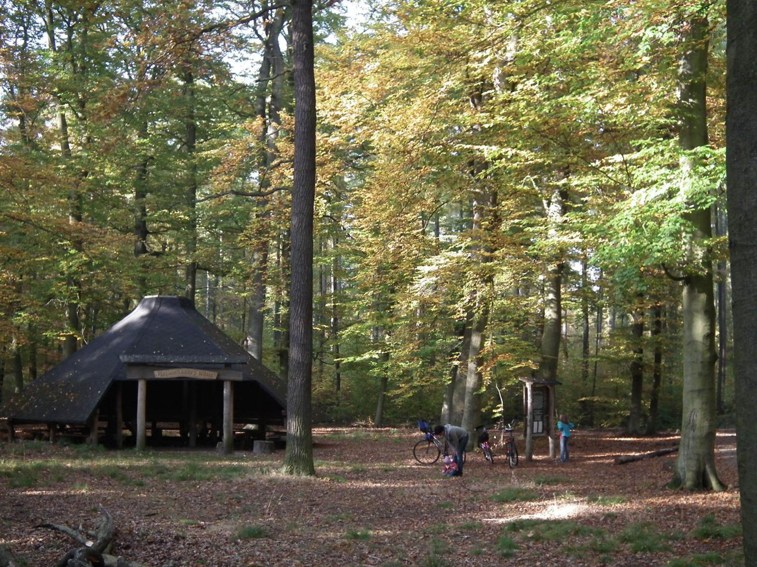 Photo 9