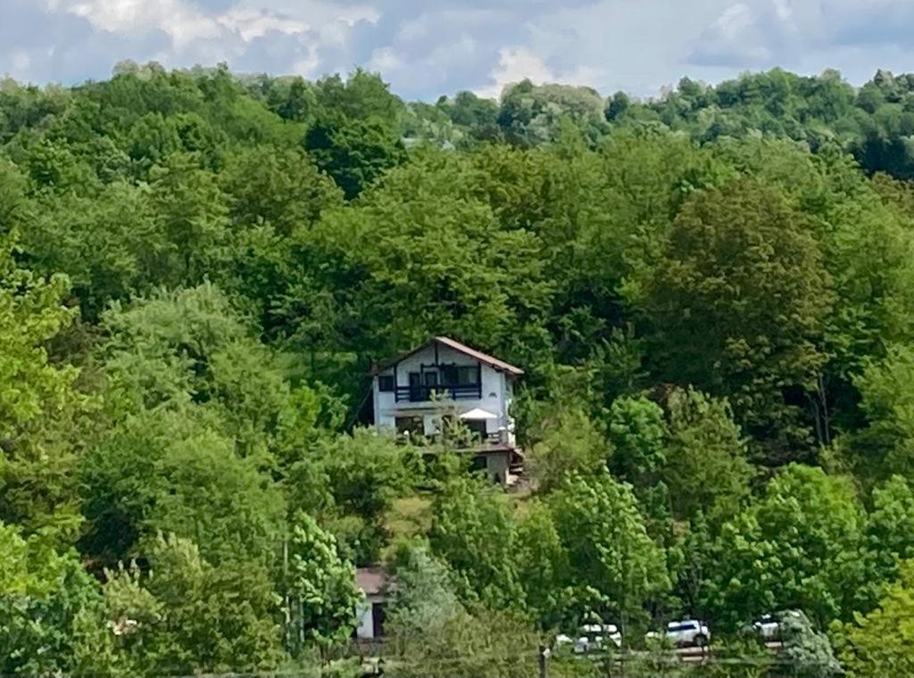 VILA GIGI, ideala pentru relaxare si distractie! view 3
