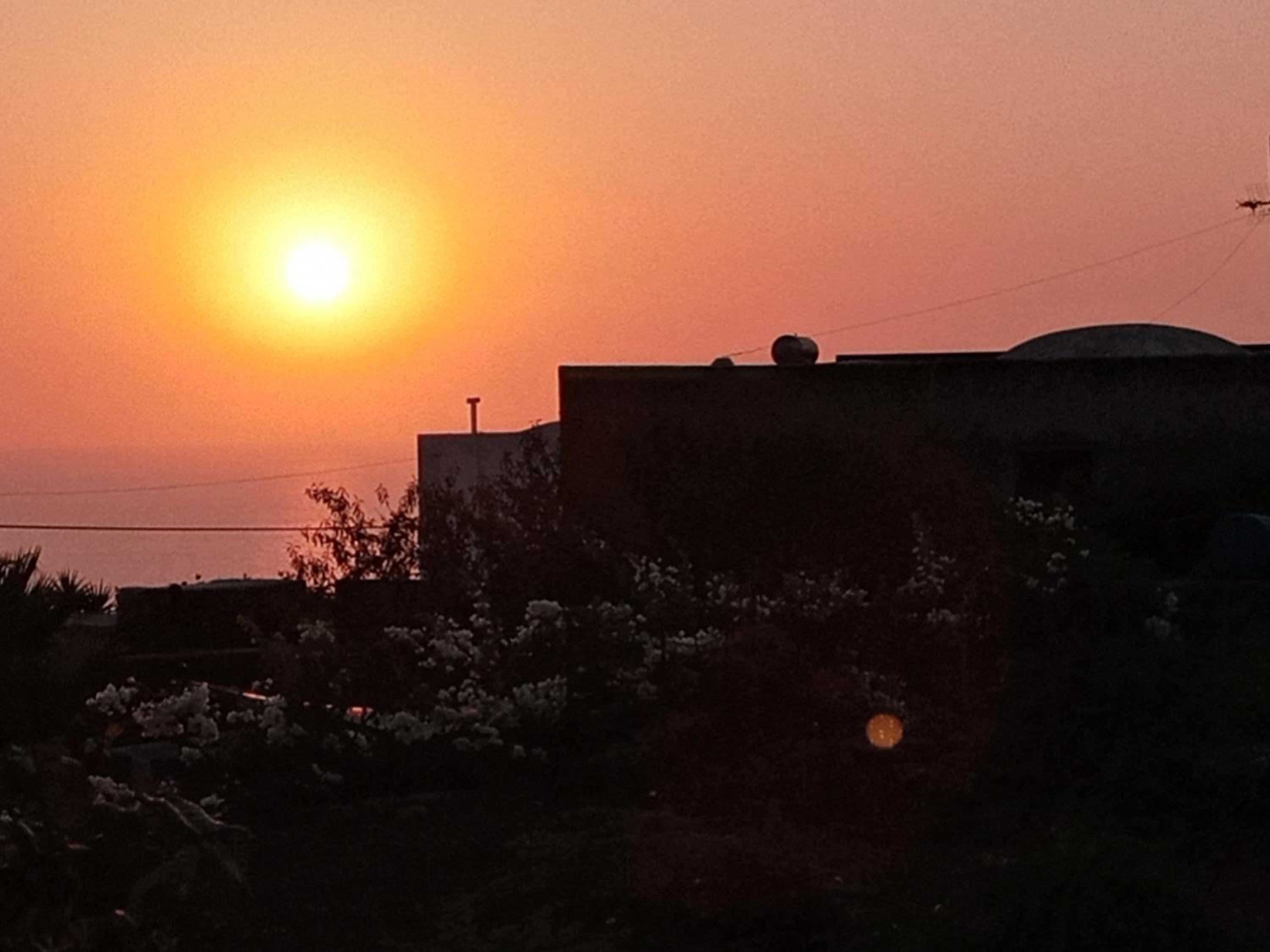 Dammuso Pantelleria - Fiori D'Ossidiana