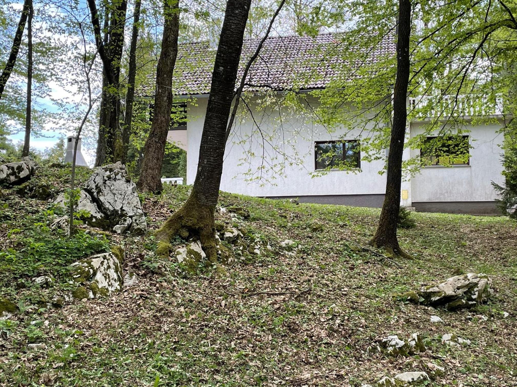 Photo 20