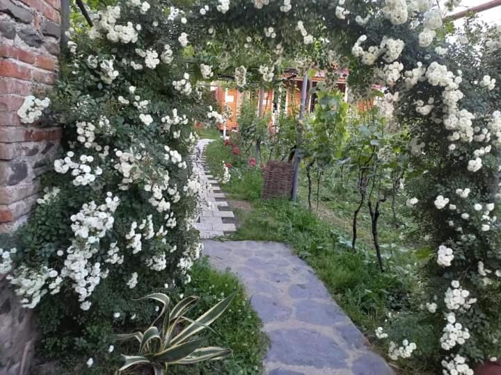 Photo 43