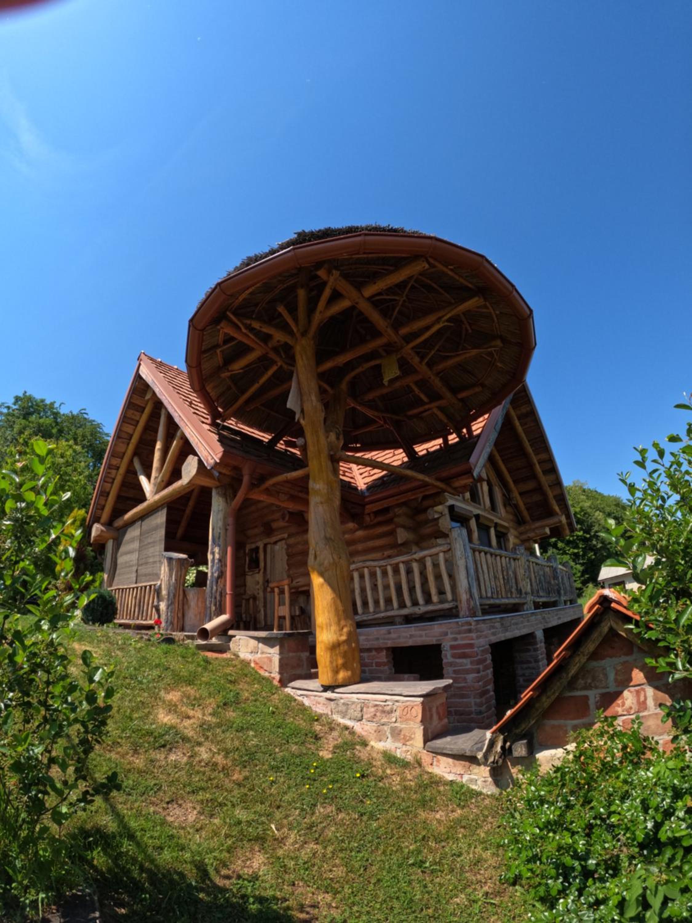 Photo 11
