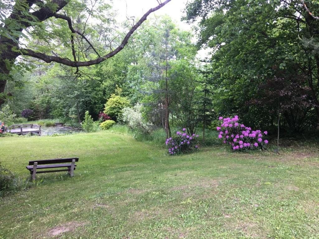 Photo 27