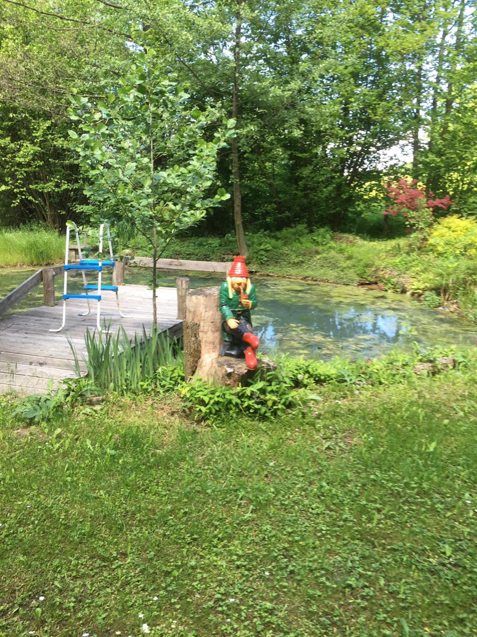 Photo 21