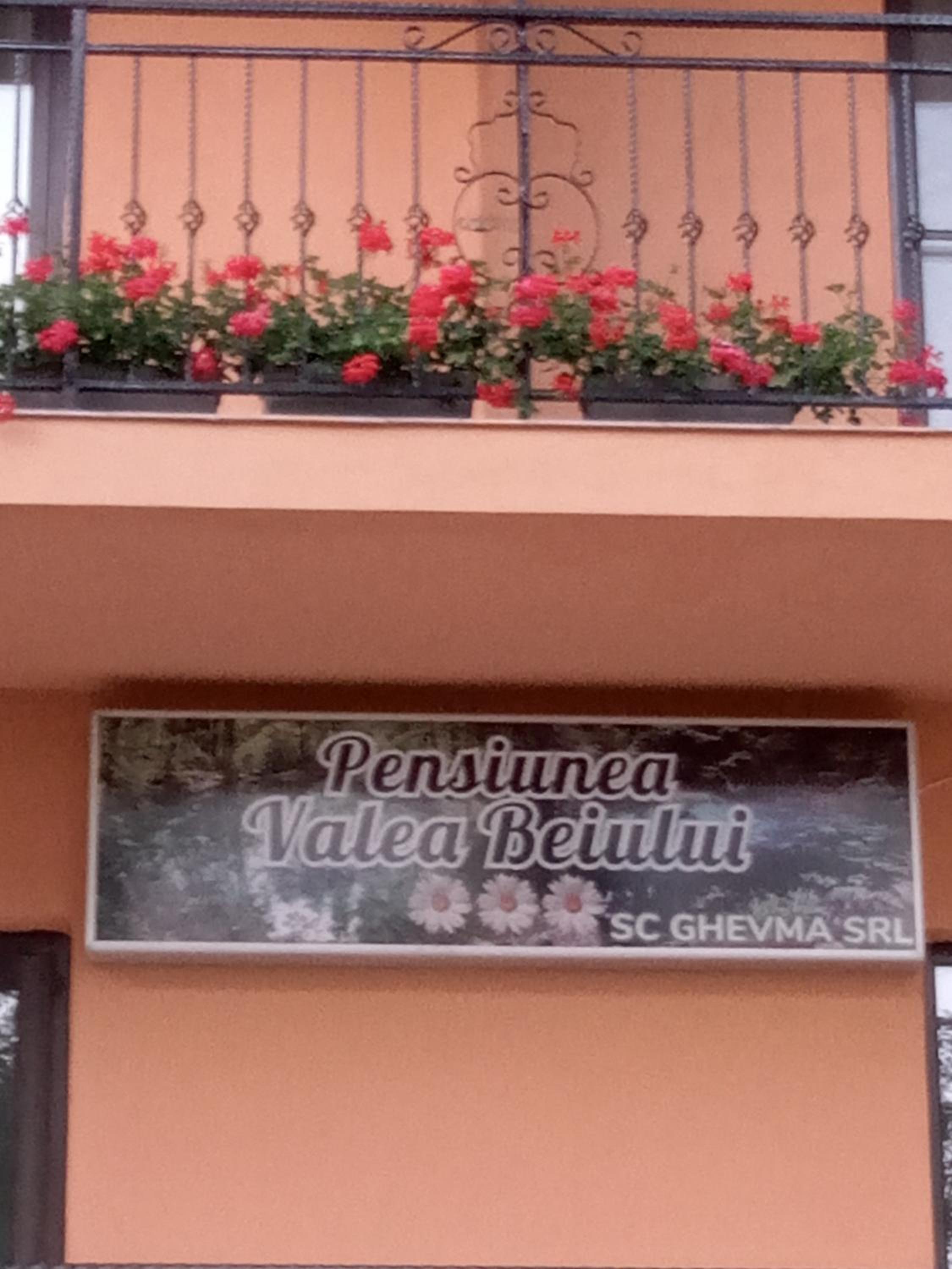 Pensiunea Valea Beiului view 2