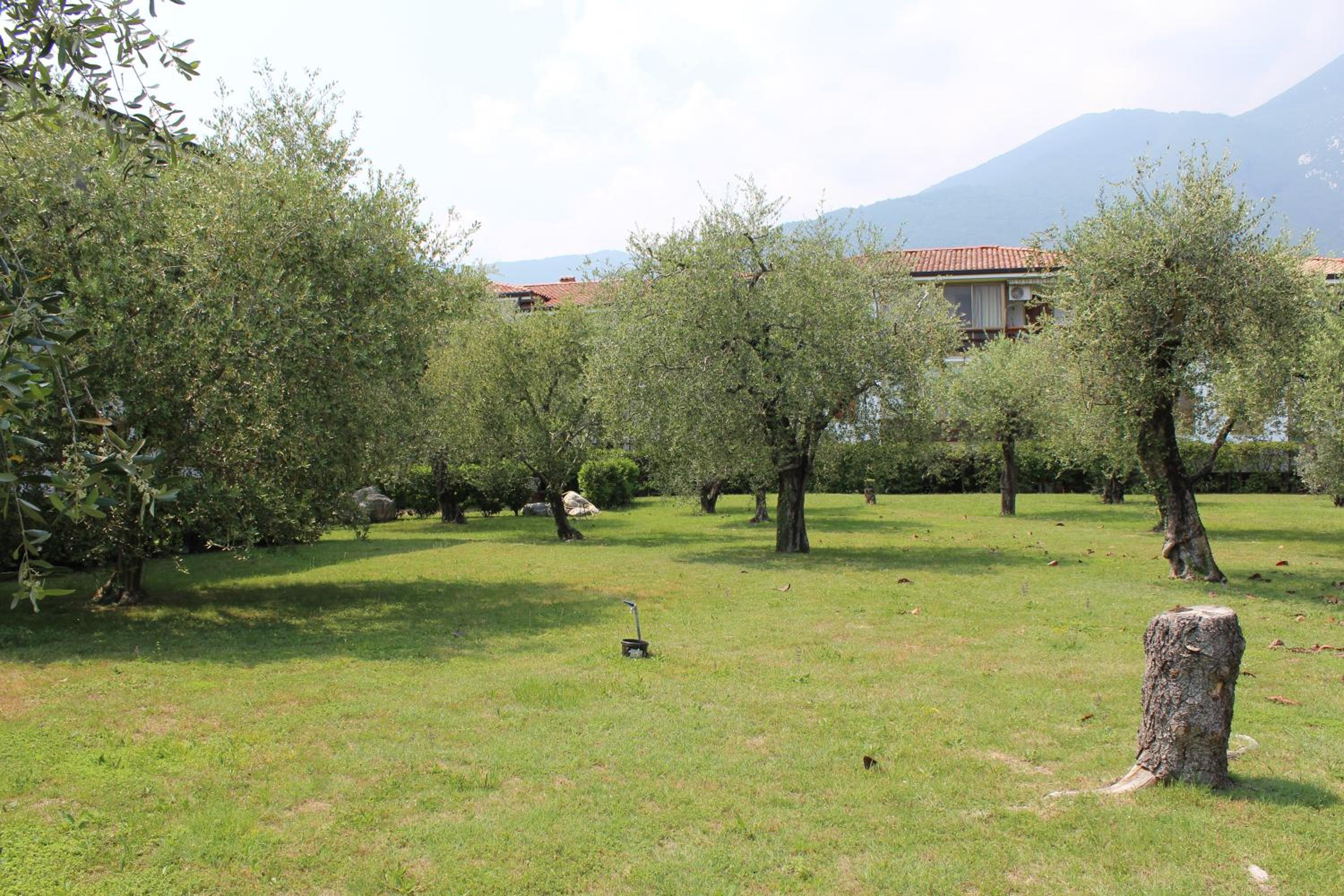 Casa Biancoliva