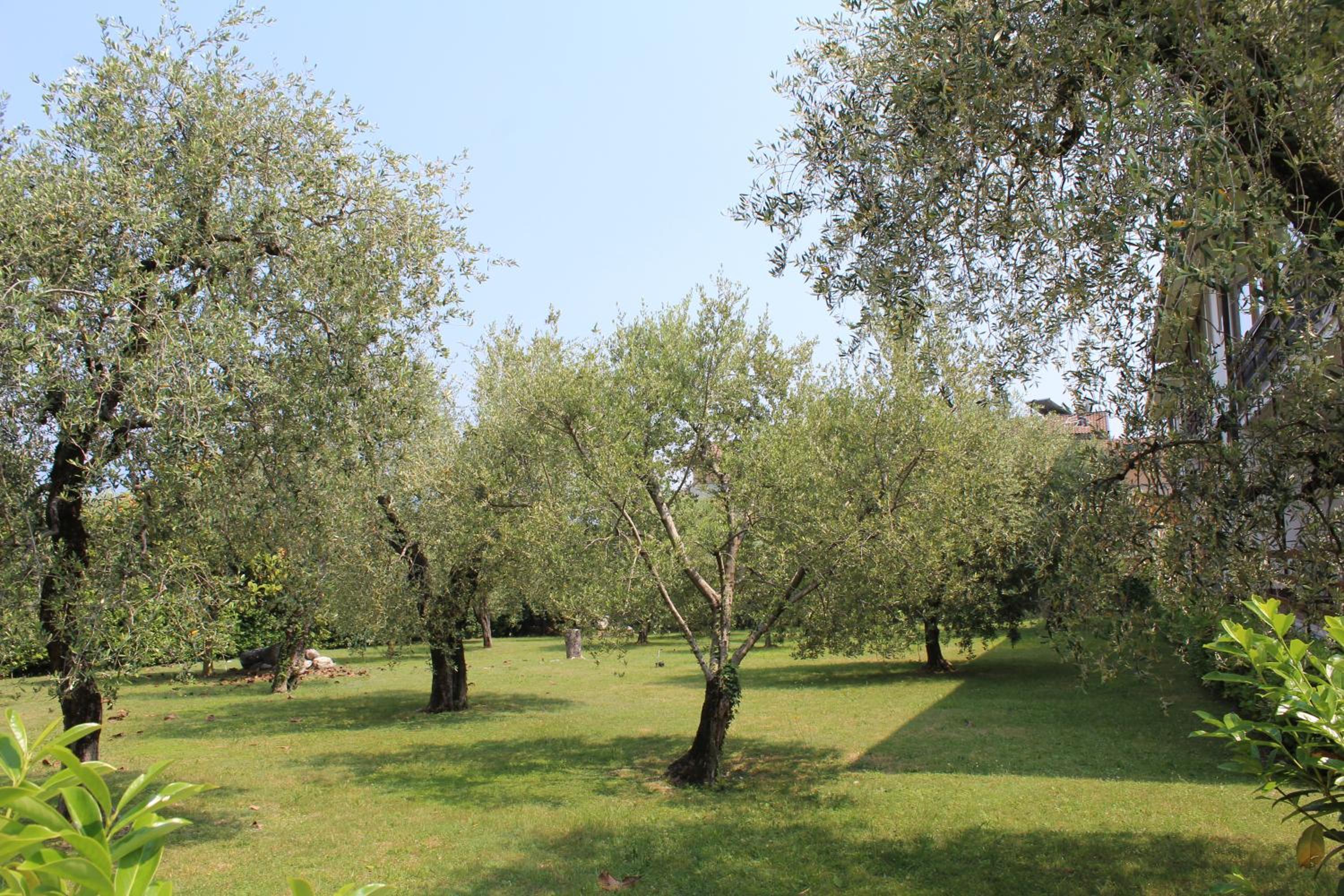 Casa Biancoliva