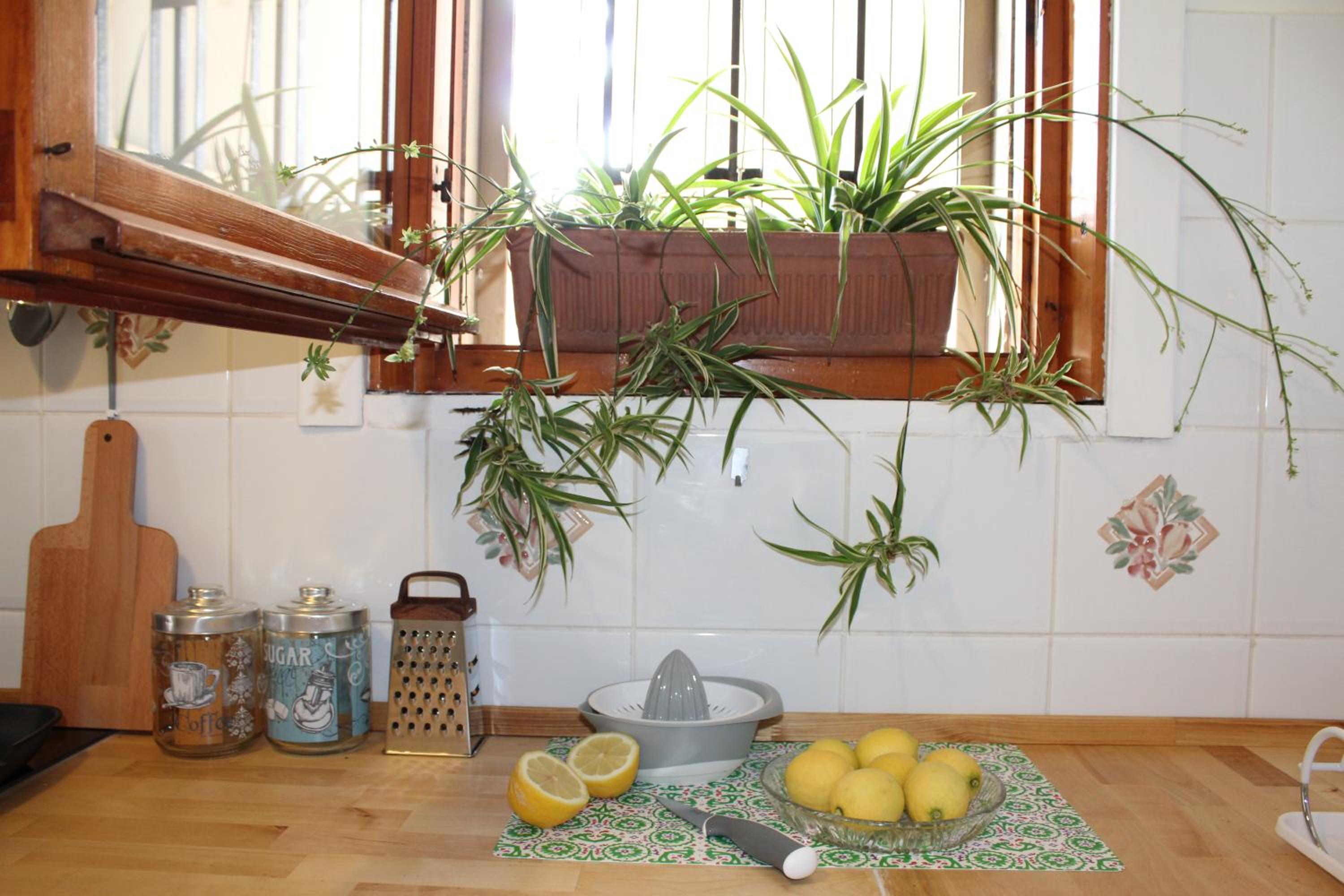 Casa Biancoliva