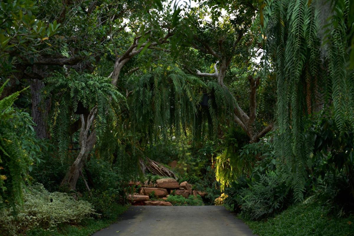 Intercontinental Khao Yai Resort by IHG 63