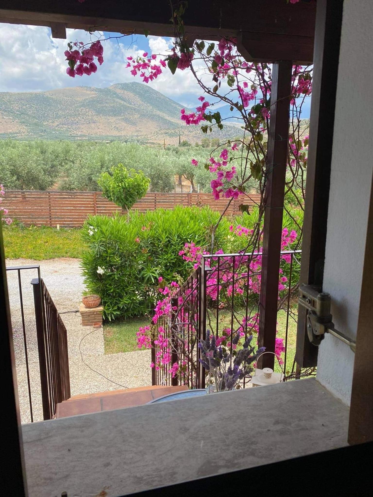 Georges Villa Galaxidi, family, pool and garden view 5
