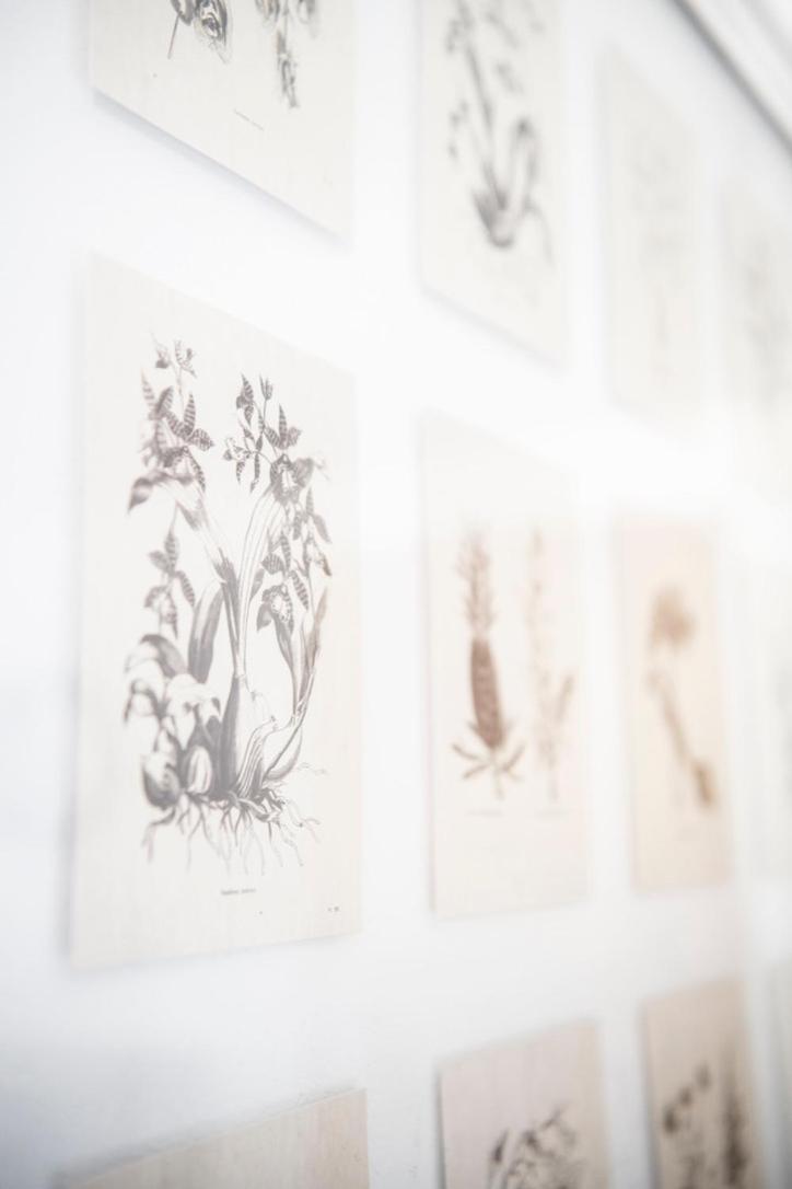 Casa Pasch - Boutique Bed and Breakfast in Cumpadials